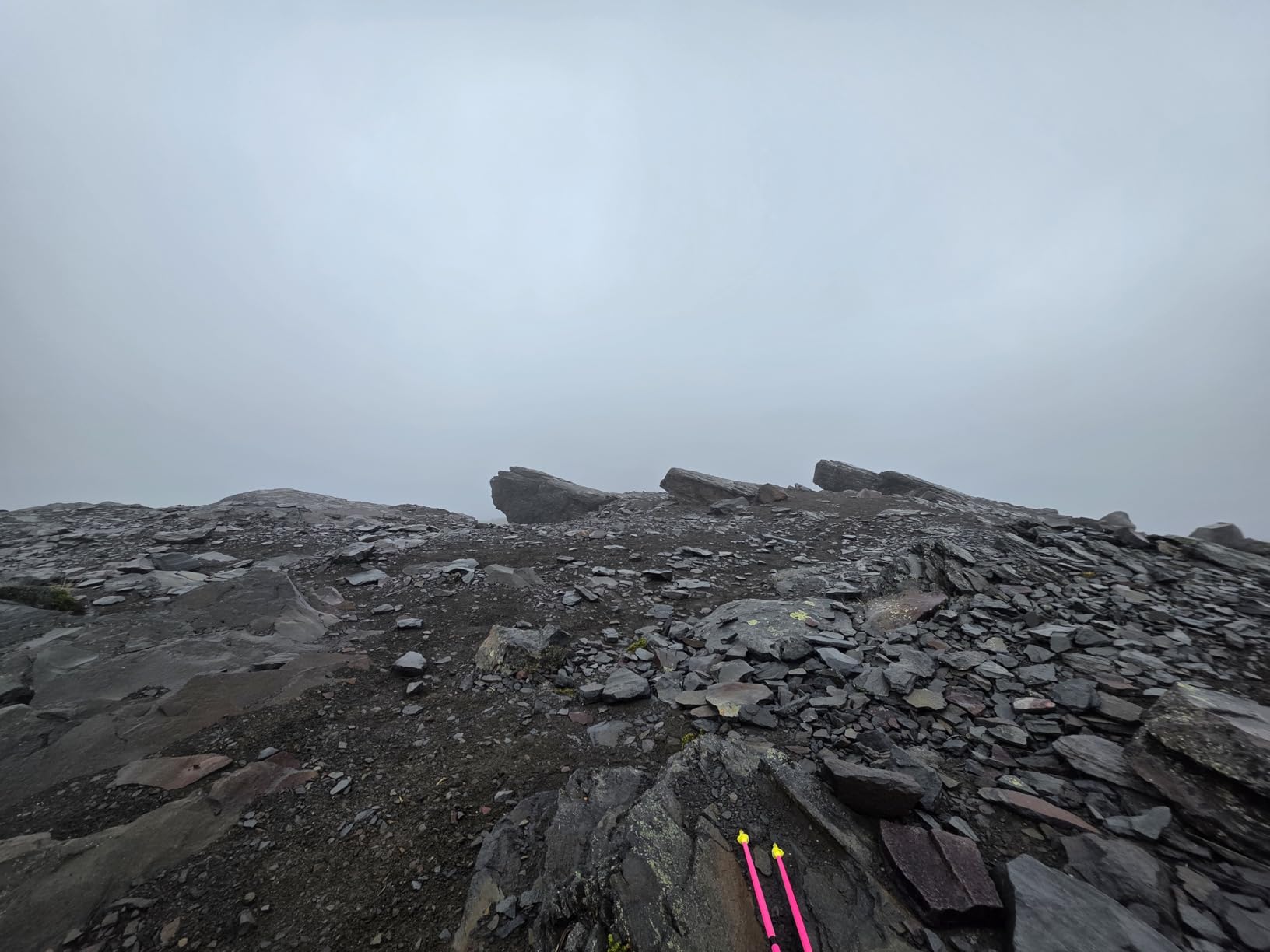 Leki Ultratrail FX.One Trekking Poles - Carbon Foldable Ultralight Poles for Hiking & Trail Running customer photo 2