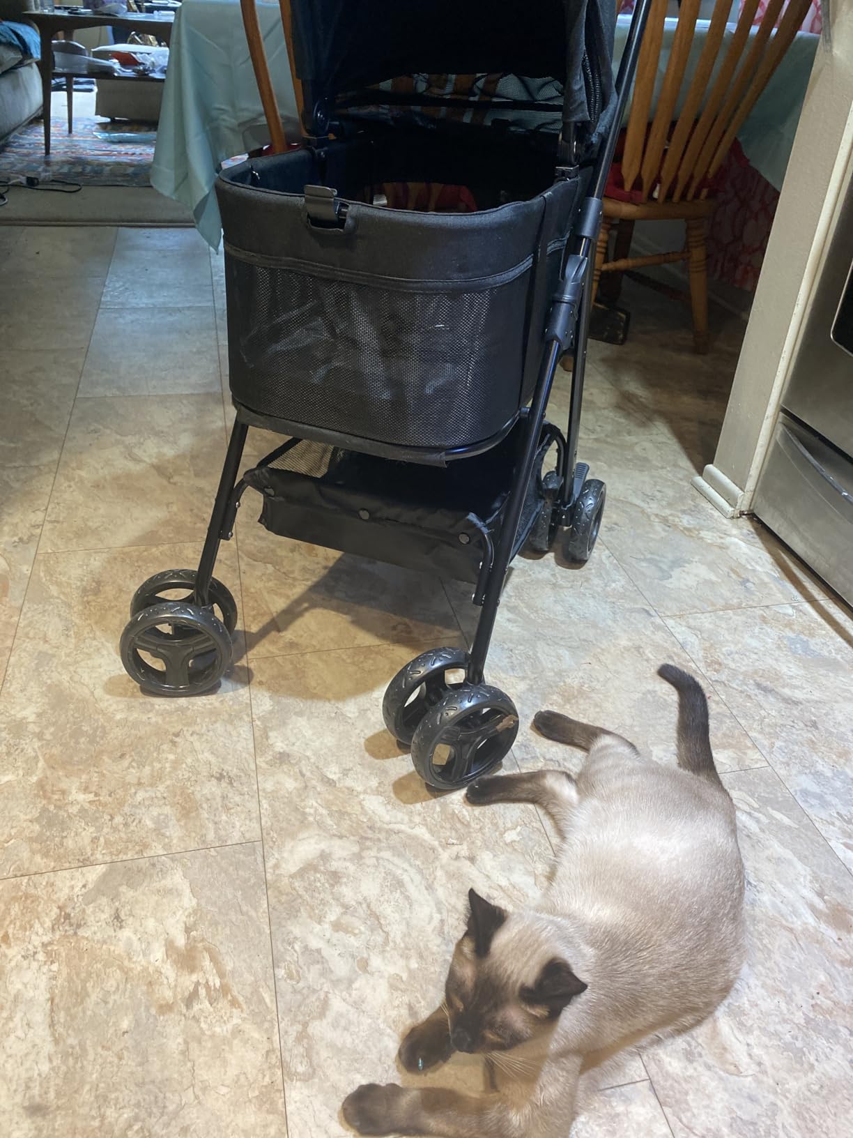 Zoosky 3 in 1 Pet Stroller with Removable Carrier, Folding Stroller for Small/Medium Dogs and Cats, Waterproof, All-Terrain, with Sun Shades, Car Seat customer photo 1