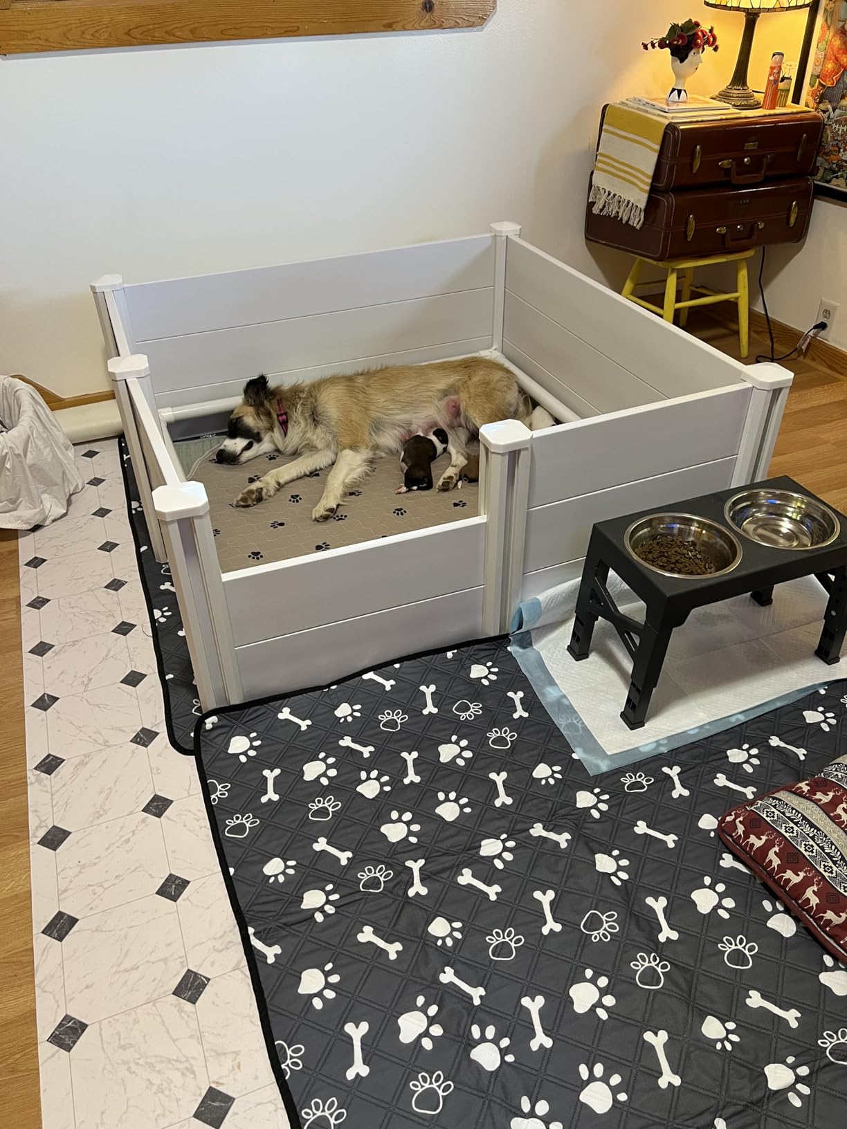 VEVOR Dogs Whelping Box, 93.3x48.4x18.1 inch, Plastic PVC Puppies Playpen with Height Adjustable Door and Washable Pee Pad, 2-Room Layout Indoor Puppy Play Pen for Extra Large Breed Dogs, Milk White customer photo 2