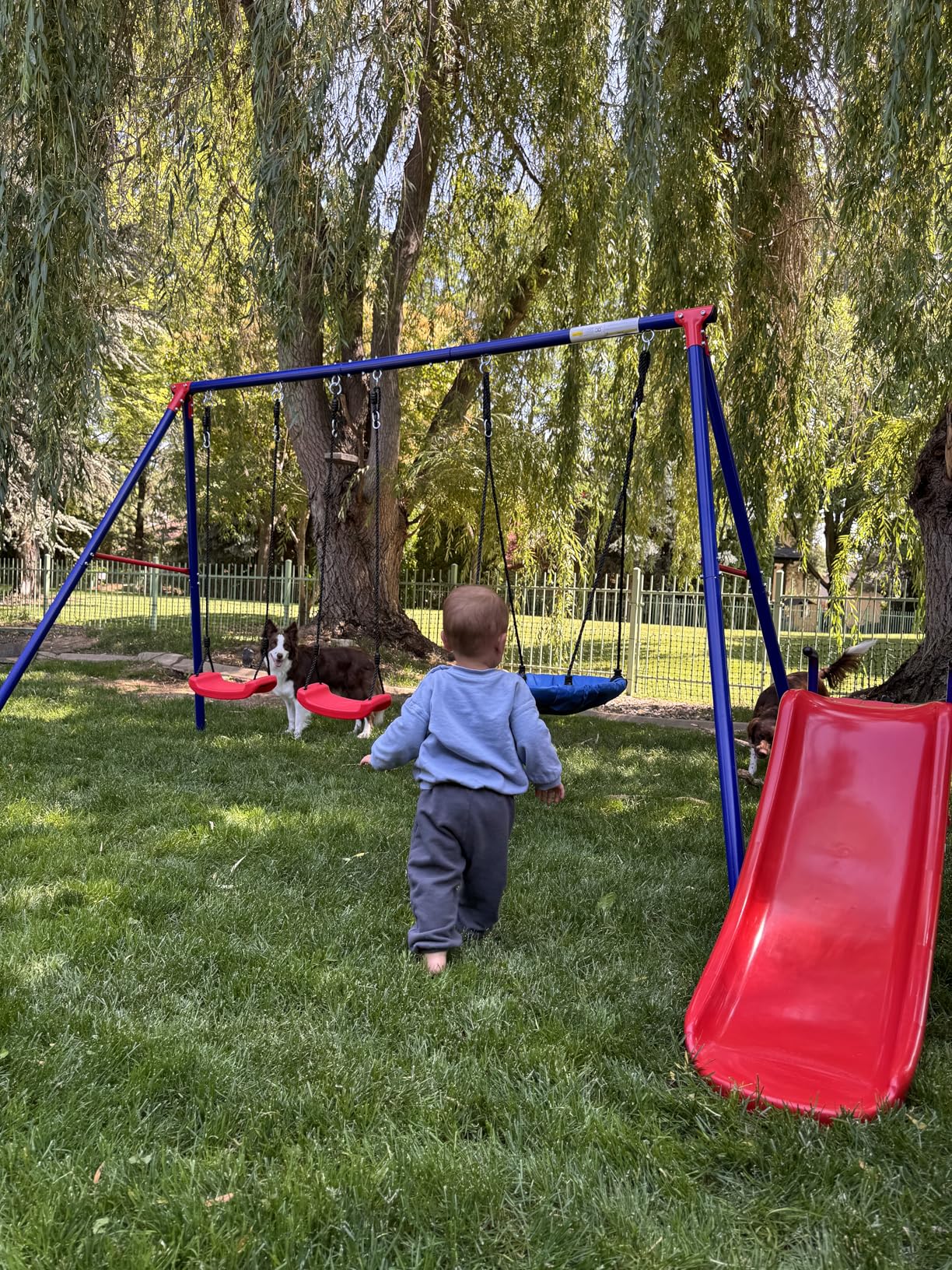 Delta Children FunZone Outdoor Metal 4-Piece Swing Set - Includes 2 Swings, 1 Disc/Saucer Swing and Slide, Blue/Red customer photo 1