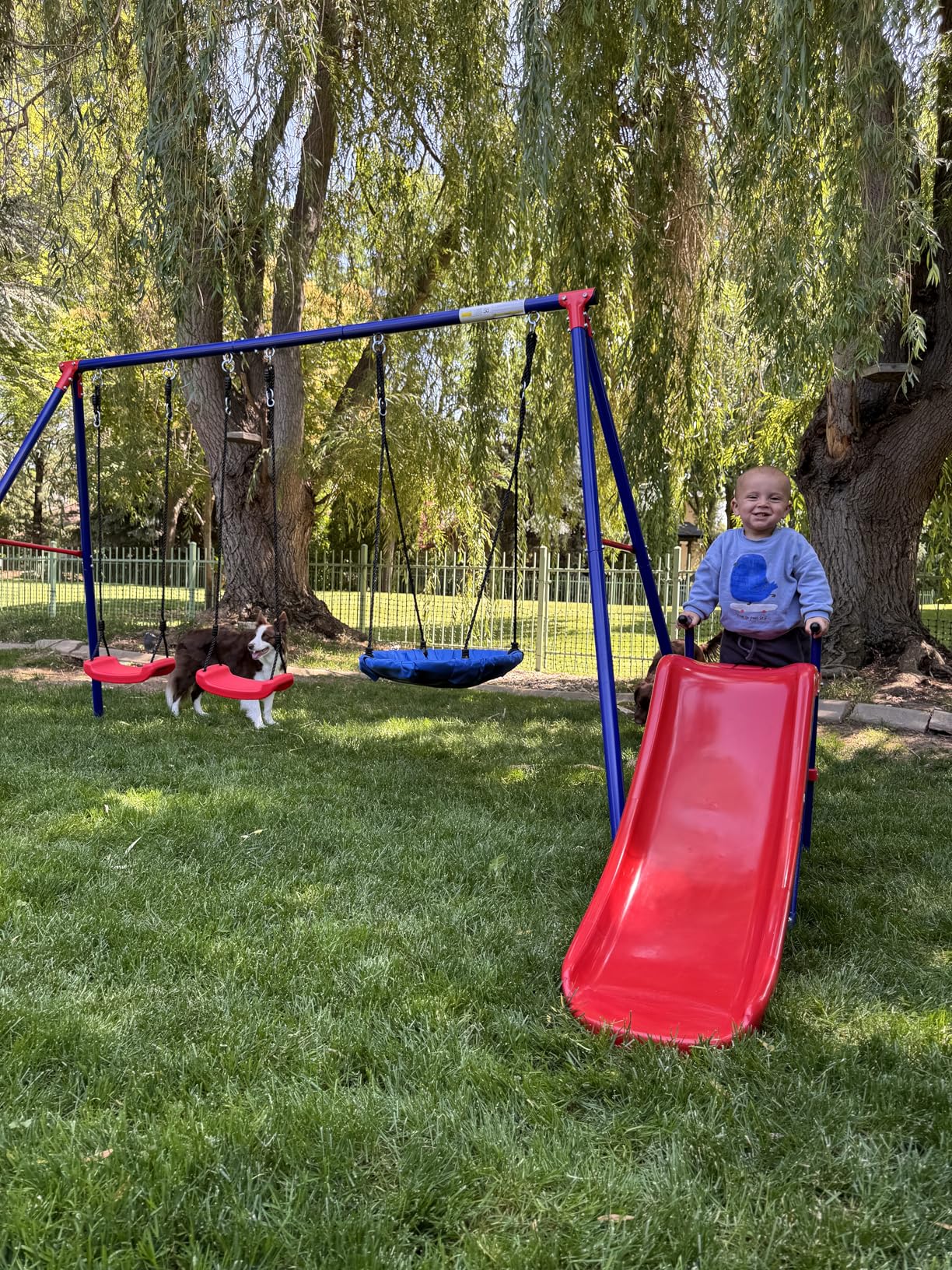 Delta Children FunZone Outdoor Metal 4-Piece Swing Set - Includes 2 Swings, 1 Disc/Saucer Swing and Slide, Blue/Red customer photo 2