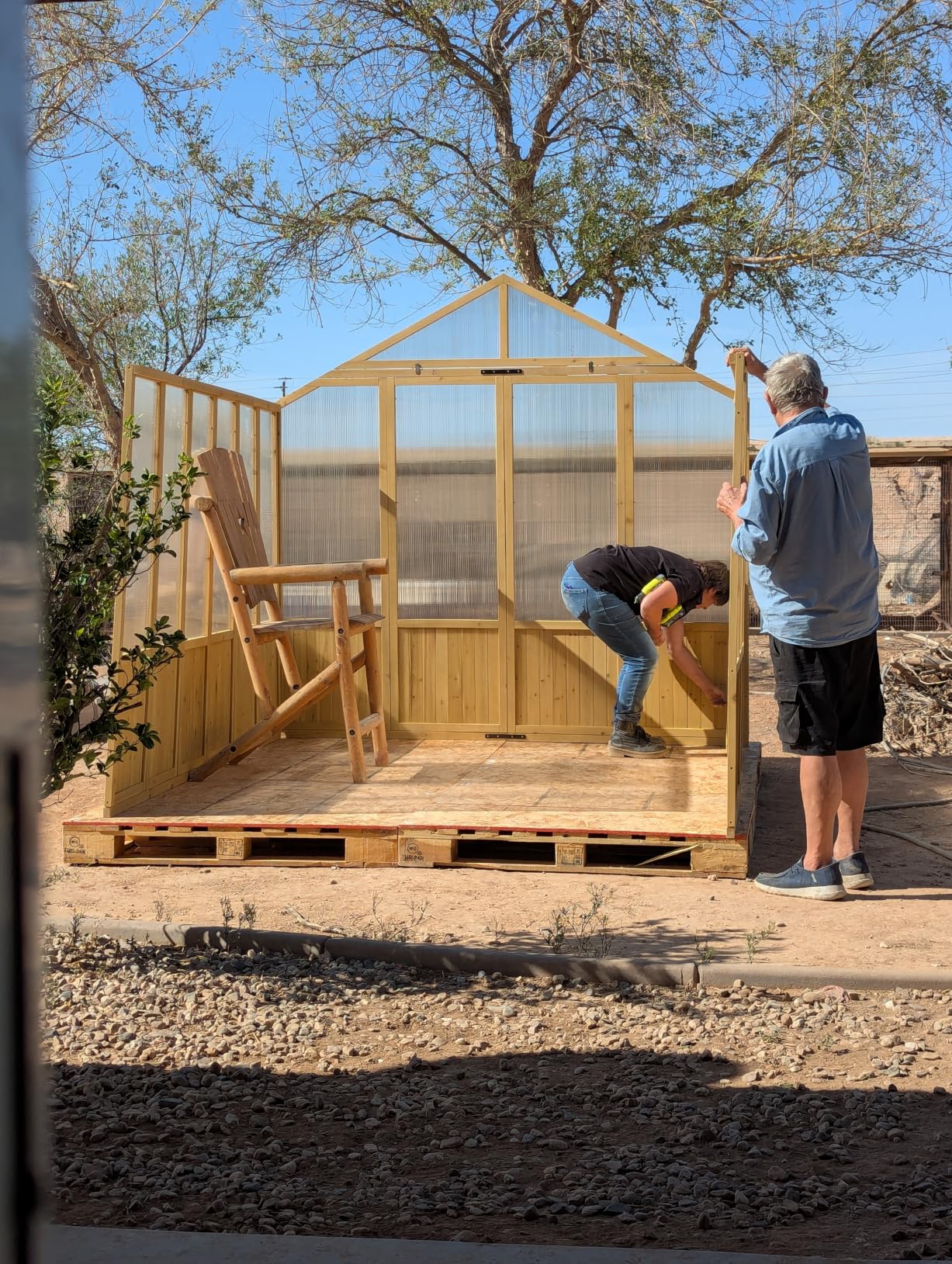 Jocisland 8x9.5x7.5 Ft Wooden Greenhouse, Pre-Assembled Solid Cedar Frame, Walk-in Design, Lockable Door, Adjustable Roof Vents, Polycarbonate Panels for Outdoor, Garden, Backyard customer photo 2