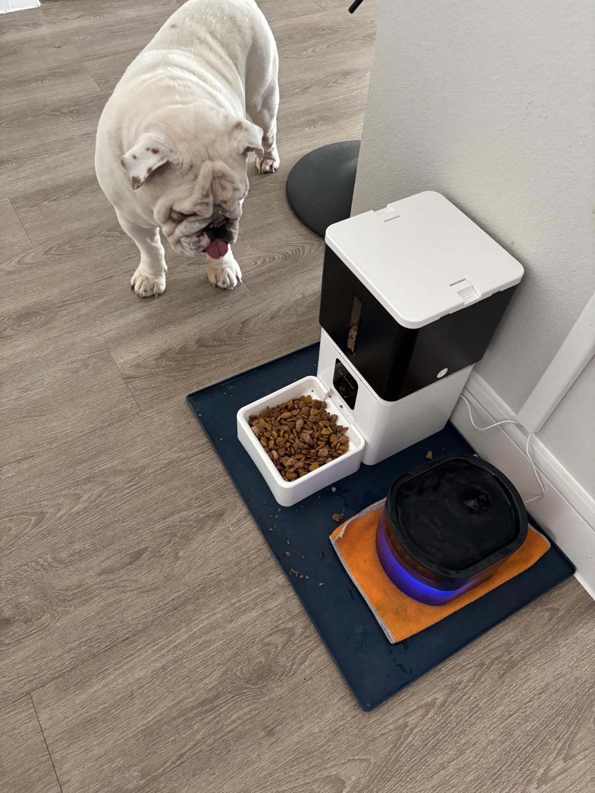 UTCG Automatic Dog Feeder with Camera: 8L/33 Cups 5G WiFi Timed Food Dispenser for Medium Dogs - 1080P HD Night Vision Video Recording 2-Way Audio APP Control customer photo 1