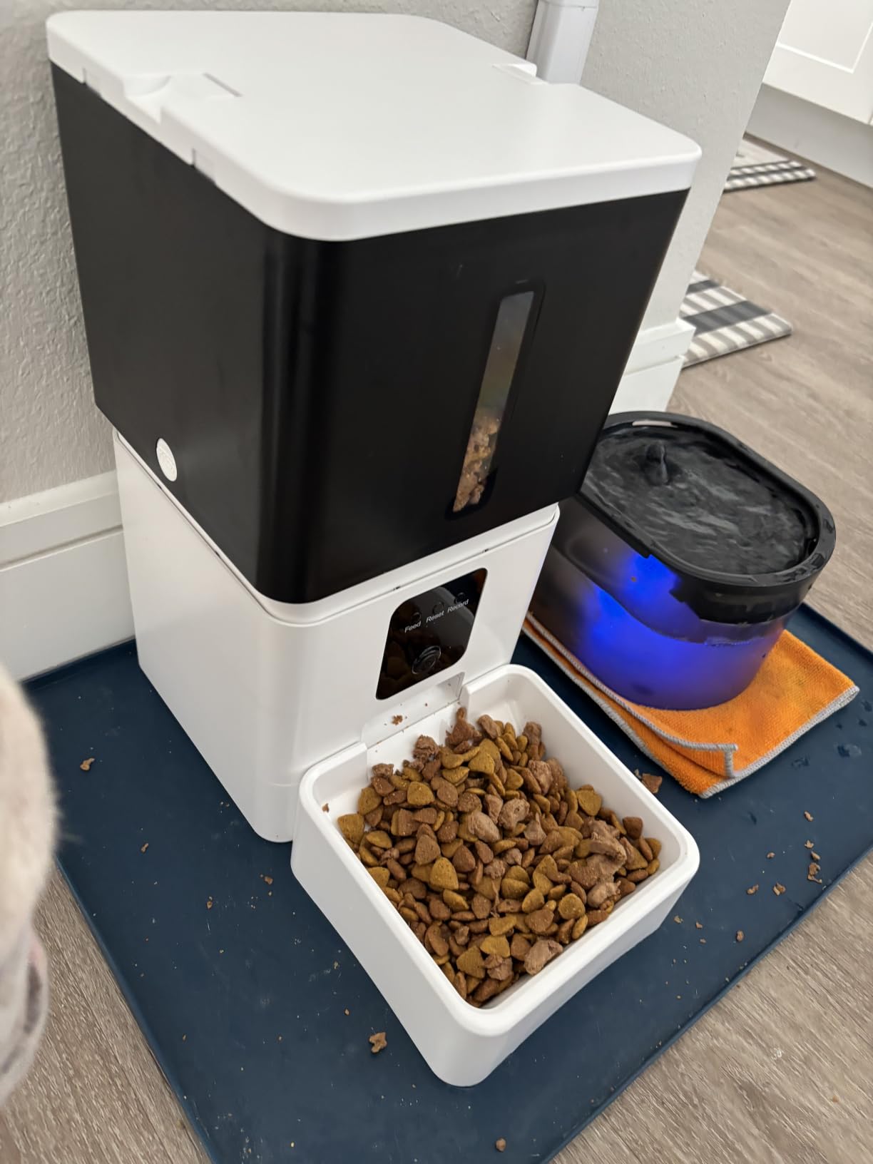 UTCG Automatic Dog Feeder with Camera: 8L/33 Cups 5G WiFi Timed Food Dispenser for Medium Dogs - 1080P HD Night Vision Video Recording 2-Way Audio APP Control customer photo 2