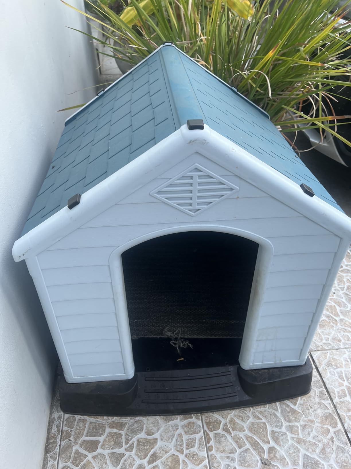 Elevon Plastic Dog House, Insulated Doghouse Puppy Shelter, Water Resistant Easy Assembly Sturdy Dog Kennel with Elevated Floor and Air Vents, Ventilate for Small to Large Sized Dogs (35-Inch) customer photo 1