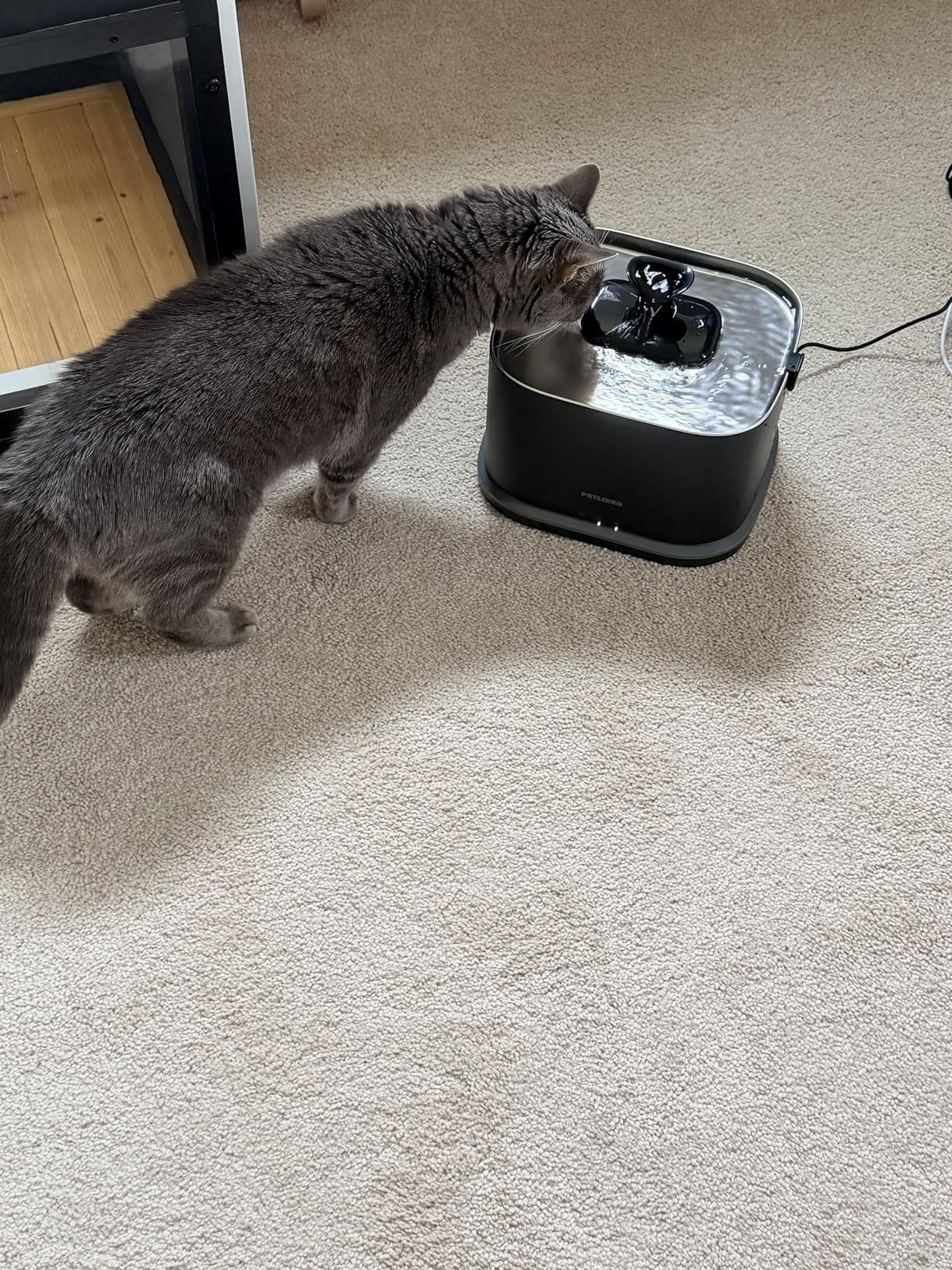 PETLIBRO Upgrade Cat Water Fountain Stainless Steel Tray, Dockstream 2 Cat Fountain Indoor, 3L/101oz Auto Cat Fountains for Drinking, App Monitoring Pet Water Fountain, 5G WiFi customer photo 2