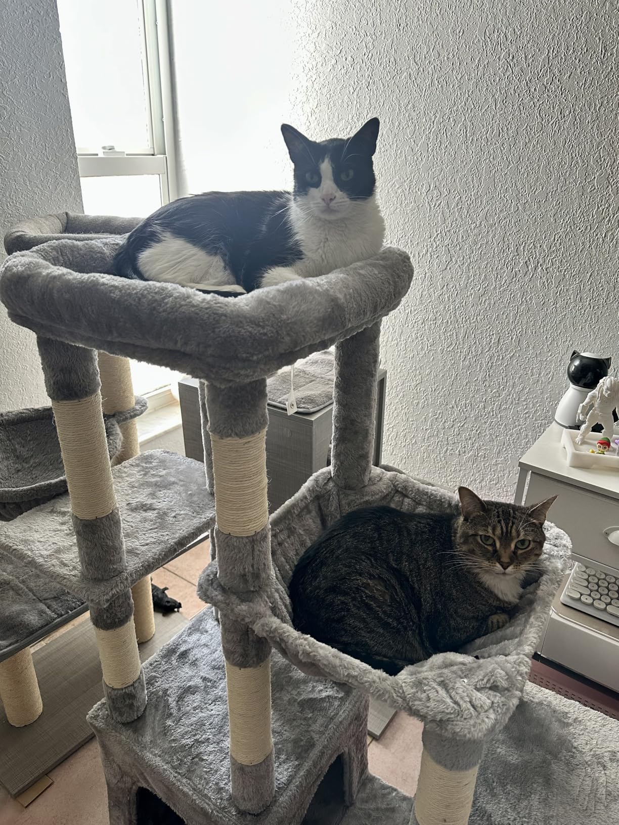 Heybly Heavy Duty Cat Tree, Tower for Indoor Cats Large Adult, Tall Cat Condo House with Extra-Large Baseboard, Multi-Level Plush Furniture with Scratching Posts, Hammock, Toy Balls, Smoky Gray HCT026G customer photo 2