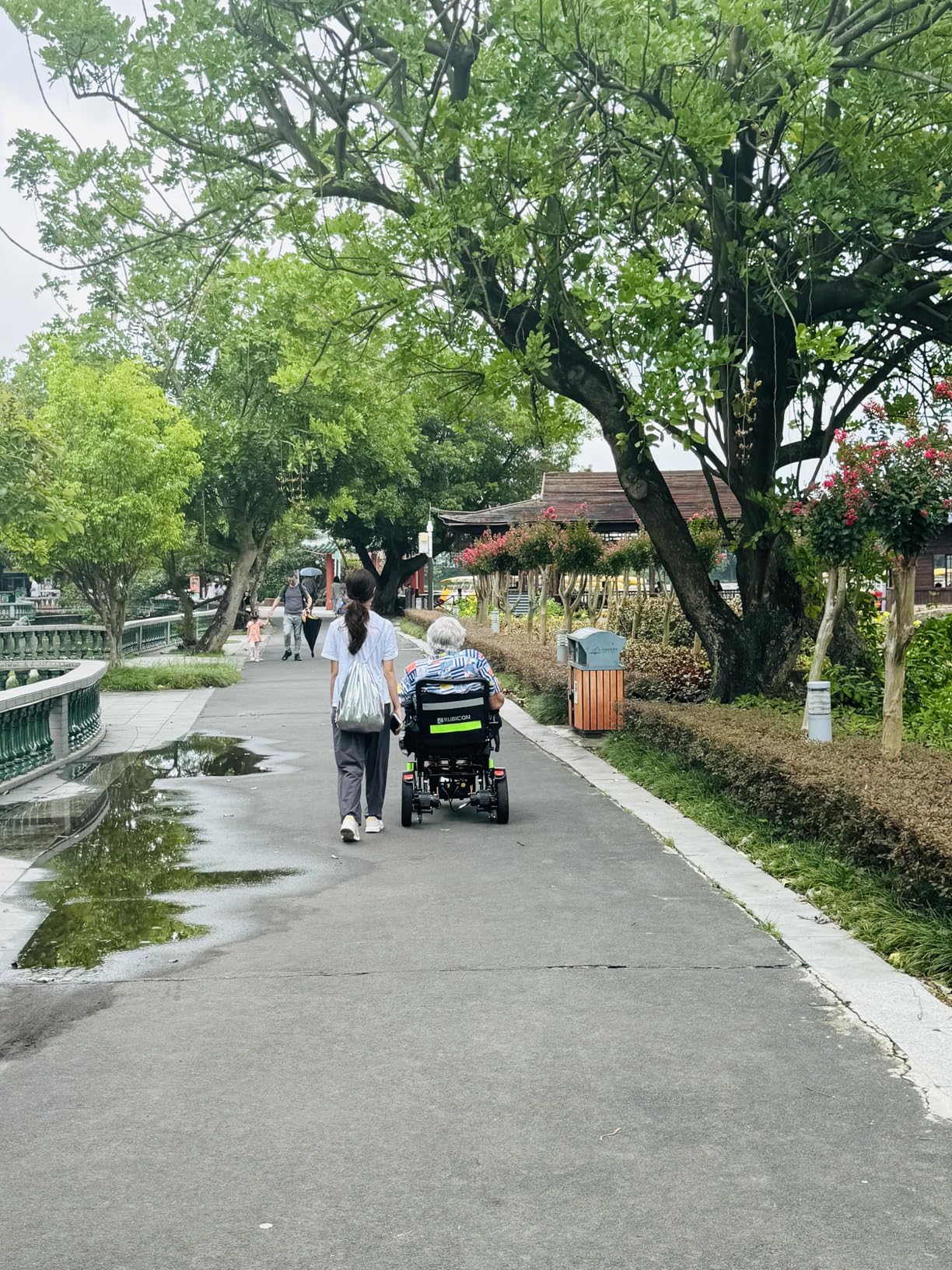 Rubicon DX14 - Longest Range 30 Miles, Airline Approved Electric Wheelchair, Dual 12AH Lithium Batteries, 2x300W Motors, Leather Cushion, Foldable, Lightweight & Powerful customer photo 2