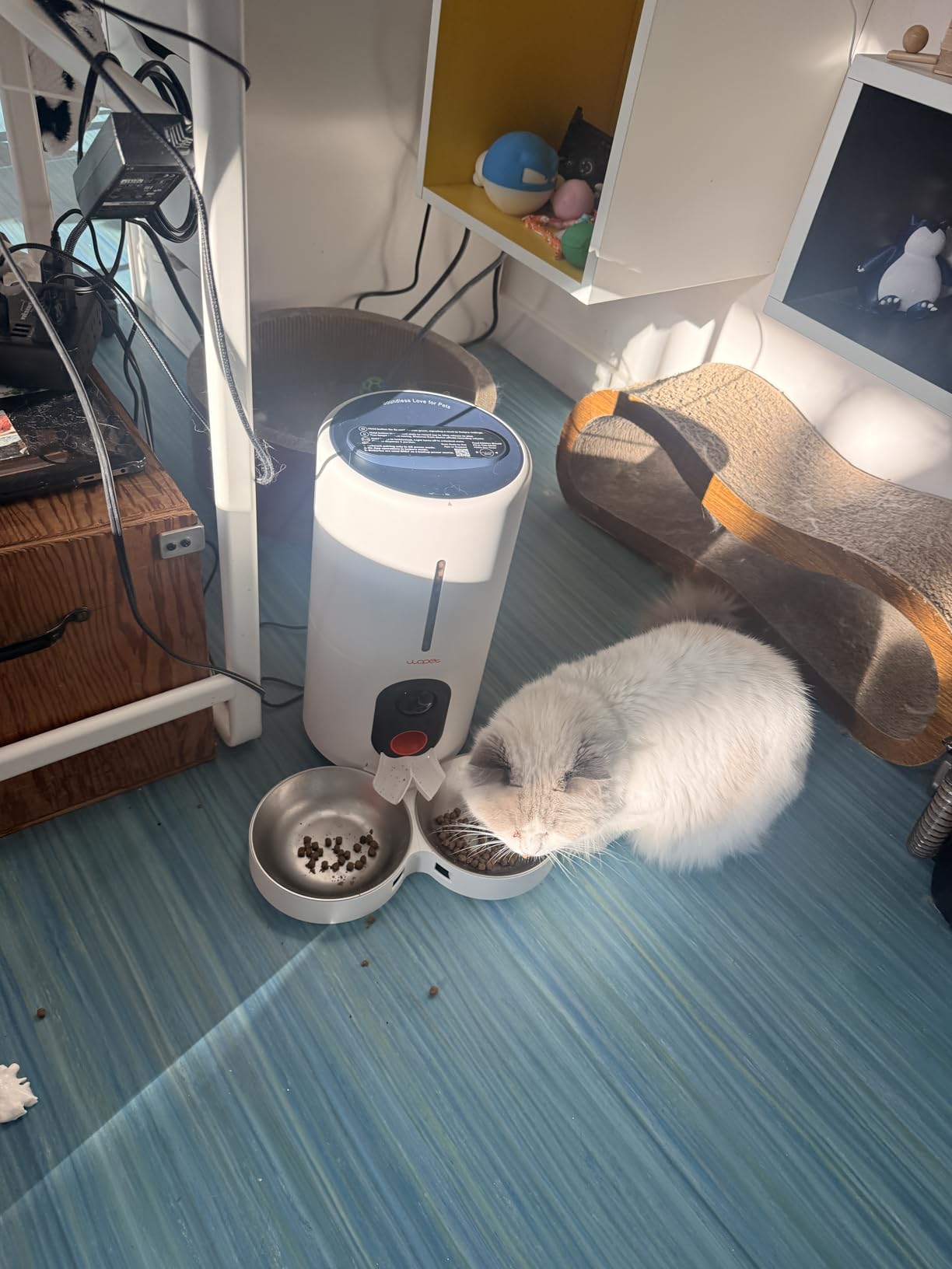 WOPET Automatic Cat Feeder with Camera for Two Cats, 6L Automatic Dog Feeder with HD Video and Night Vision, 5G/2.4G WiFi Pet Feeder for Cats & Dogs, SD Card Storage & 2-Way Audio customer photo 2