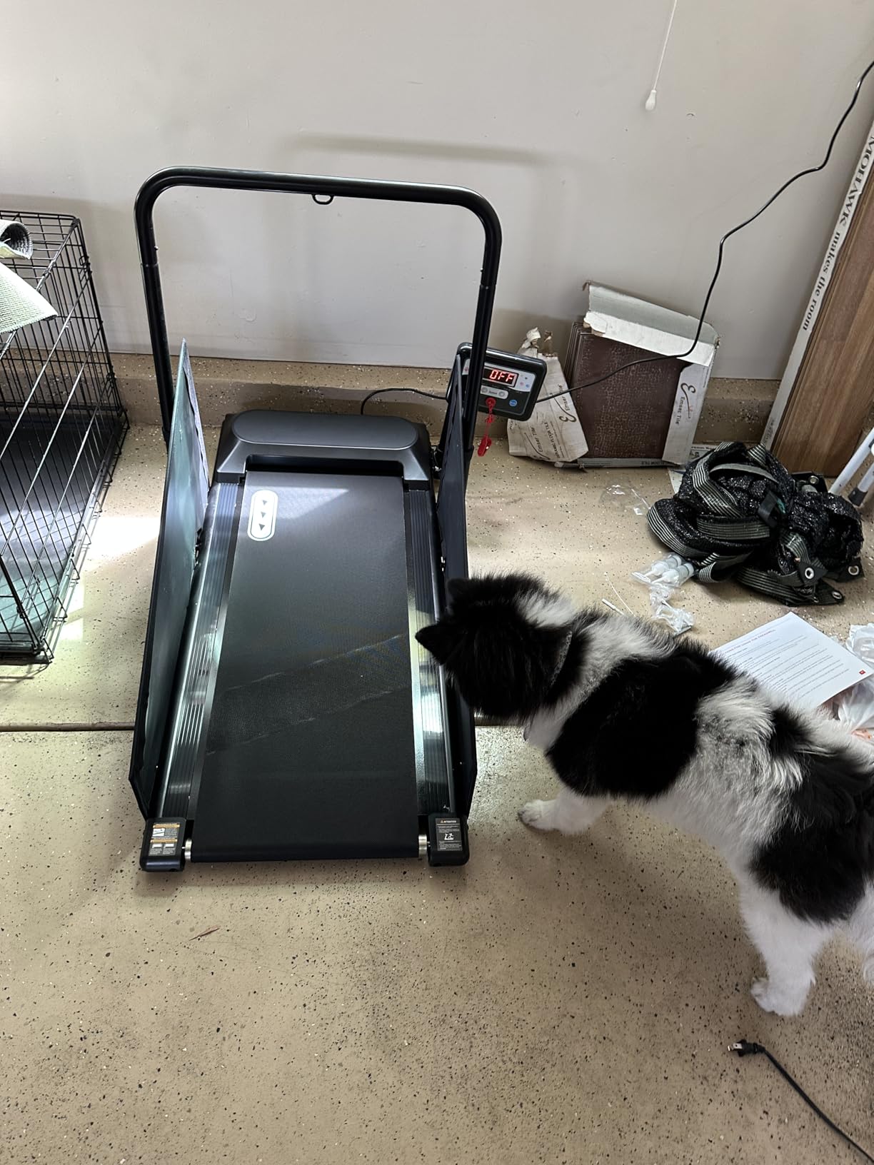 Petbobi Dog Treadmill for Small & Medium Dogs- Quiet Indoor Pet Exercise Machine with 360° Rotatable Display, Remote Control & Wheels, Heavy-Duty 265 lbs Capacity for Fitness & Weight Management customer photo 2