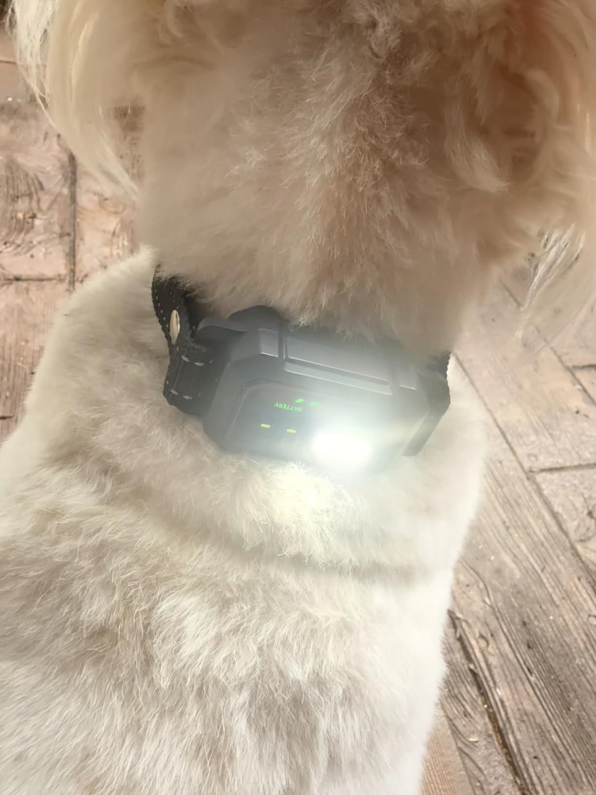 BLACKDOG Military Dog Shock Collar - 4200ft Dog Training Collar with Remote, 4 Training Modes, Flashlight & Strobe, 3-Month Battery, IP67 Waterproof Dog E Collar for All Breeds 5-150lbs customer photo 2