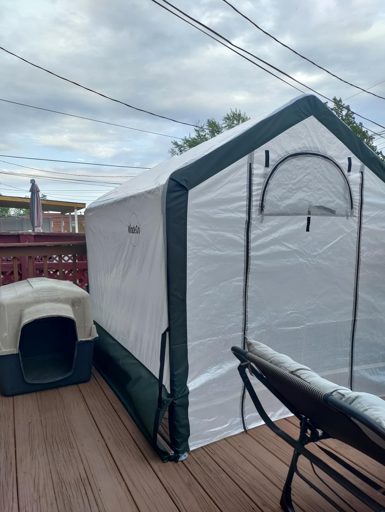 Miracle-GRO 6' x 4' x 6' Outdoor Mini Walk-in Greenhouse Plant Tent, All-Season Small Walk-in Plant Growth Accelerator with UV-Treated Fabric Cover and Zippered Panels, Clear customer photo 2