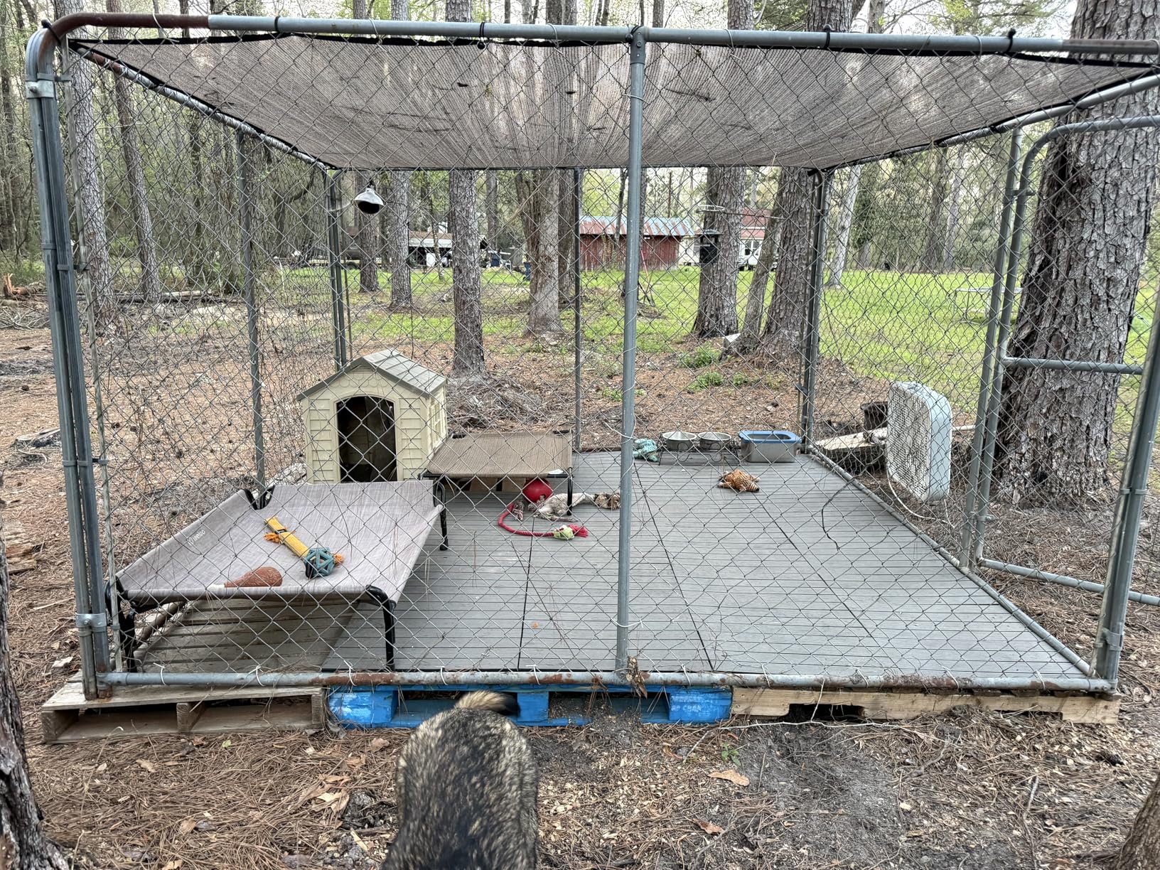 Veehoo Outdoor Flooring Decking for Dog Playpens, Kennels, 4' x 4' Waterproof Dog Training Platform, Portable Deck for RV, Pet Enclosures, Grey (24 x 12 inches, 8PCS) customer photo 1