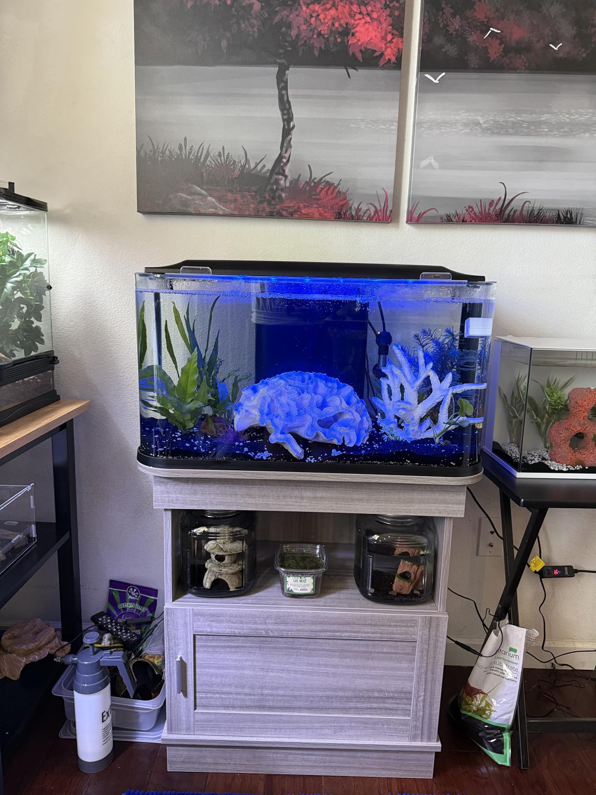 GloFish Glass Aquarium Kit, 20 Gallons, Includes Premium Blue LED Light Stick & Integrated Filtration, Seamless Curved Design customer photo 1