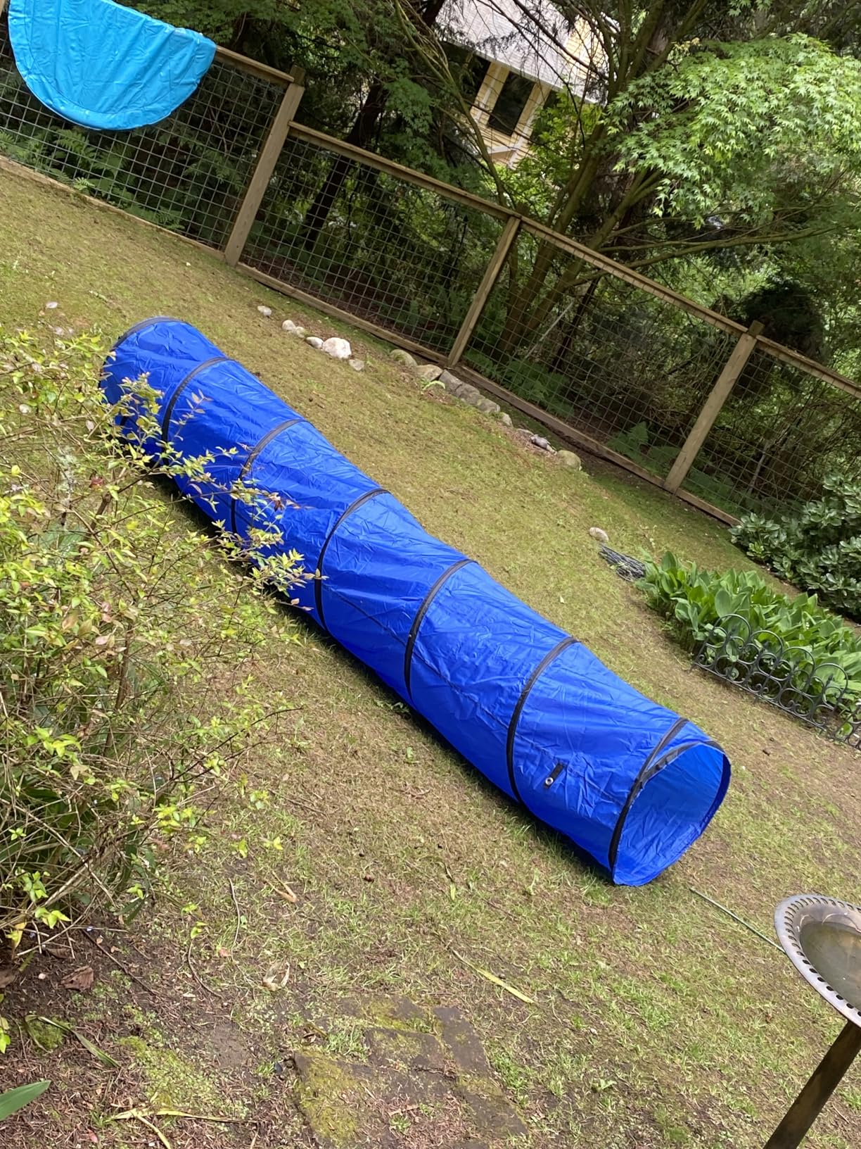Dog Agility Tunnel with Carry Bag and Ground Spikes, Foldable 10-Foot Tunnel for Dog Training, Dog Agility Equipment for Outdoor, Backyard, Indoor Use, KINETOVOLTA customer photo 1