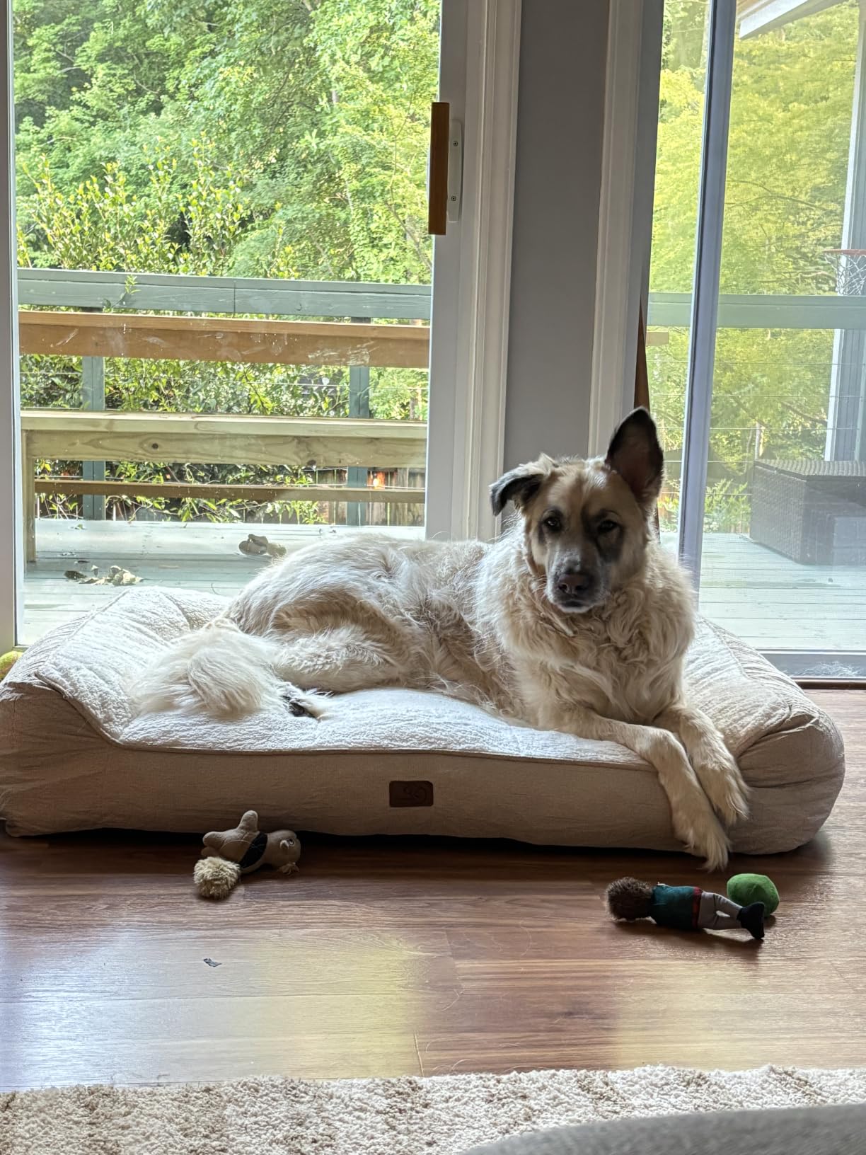 Bedsure SupportMax XL Pro Orthopedic Dog Beds Large Sized Dog - Extra Thick Supportive Dogs Couch with Waterproof Washable Cover, Extra Large Comfort Pet Sofa with Sherpa & Nonskid Bottom, Grey, 45