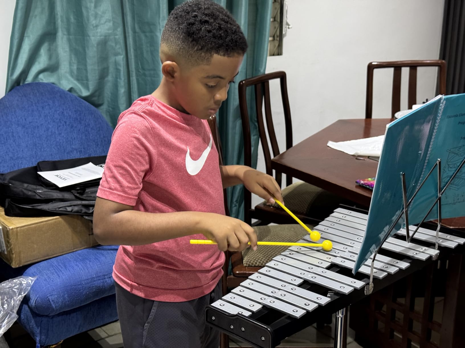 VEVOR Glockenspiel Xylophone, 25 Notes, Wooden Professional Xylophone Percussion Instrument, with 4 Mallets, Carrying Bag, Beginner Glockenspiel Musical Instrument Kit for Adults and Kids Students customer photo 1