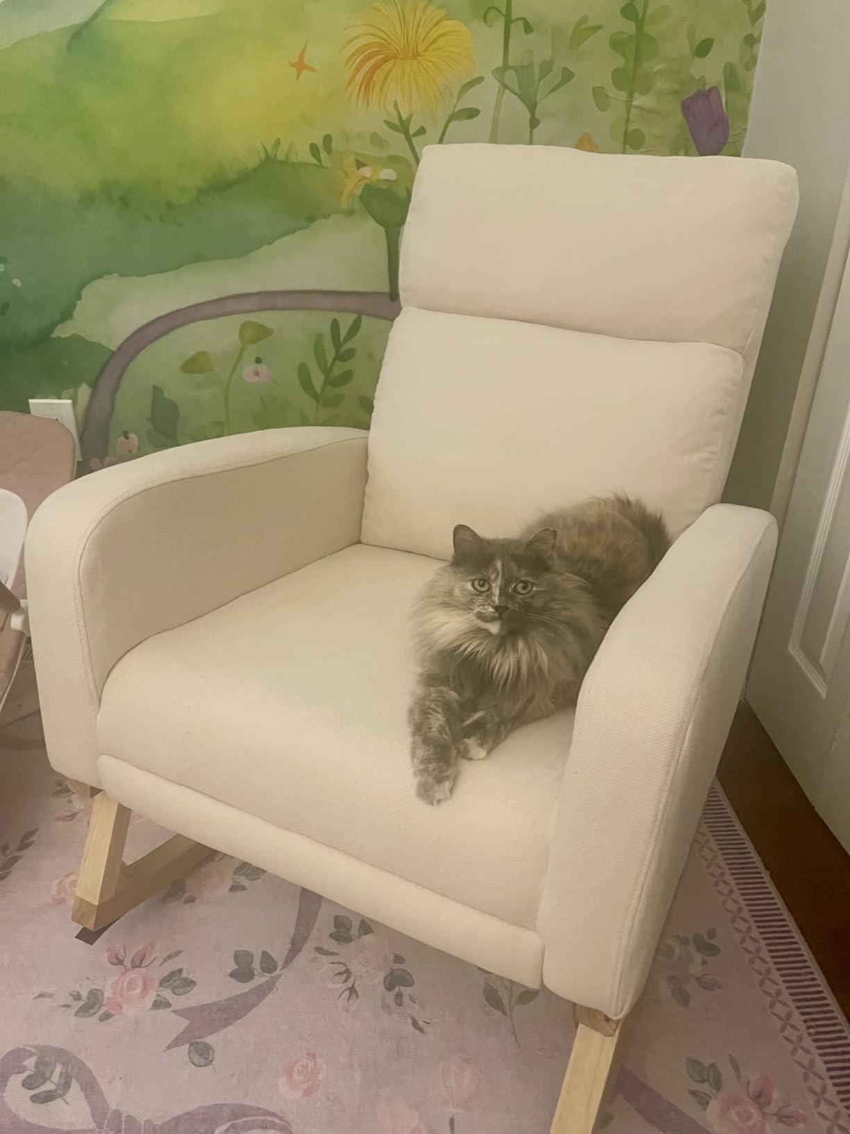 HCHAIRH Rocking Chair Nursery, Nursing Rocking Chairs with Foot Rest for Mom Nursery, Glider Rocker Chair with Footrest and High Backrest for Living Room, Bedroom, Beige customer photo 2