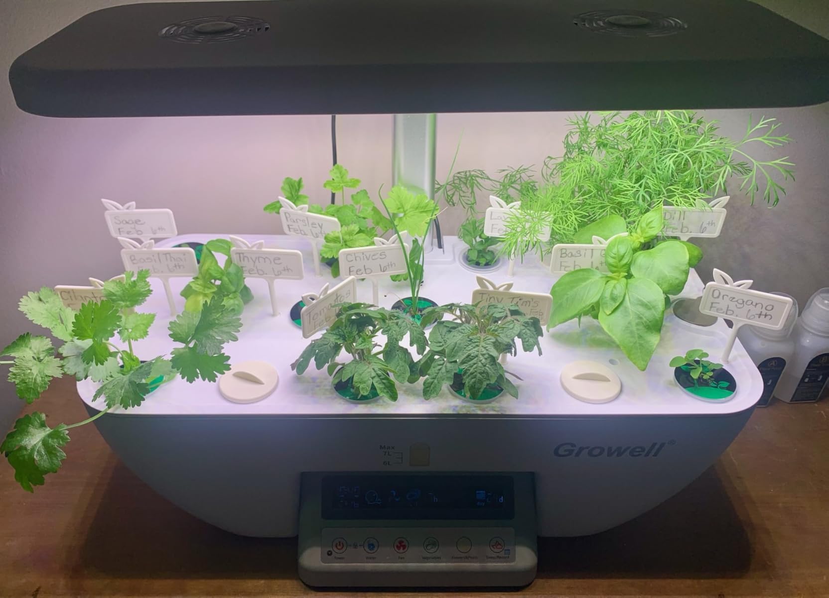 Growell Hydroponics Growing System Kit, 17 Pods Indoor Herb Garden with 2 Fans Circulation, Grow Light, Smart Water Cycle, Auto Timer, 10L Water Tank customer photo 1