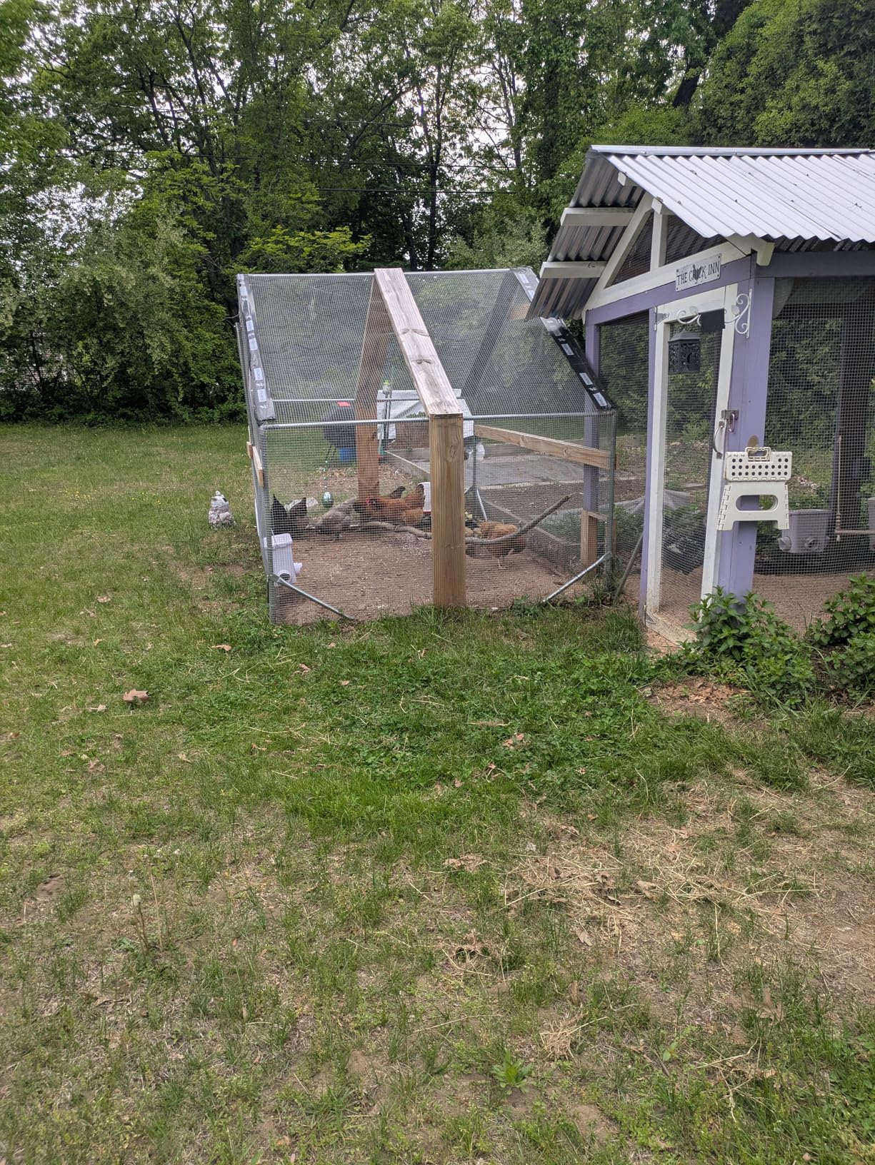 Large Metal Chicken Coop with Run for Yard with Waterproof & Anti-UV Cover, 19.7 x 10 x 6.4ft Outdoor Walk-in Poultry Cage Chicken Run Pen with Roosting Perch, Hen Duck Rabbit House customer photo 1