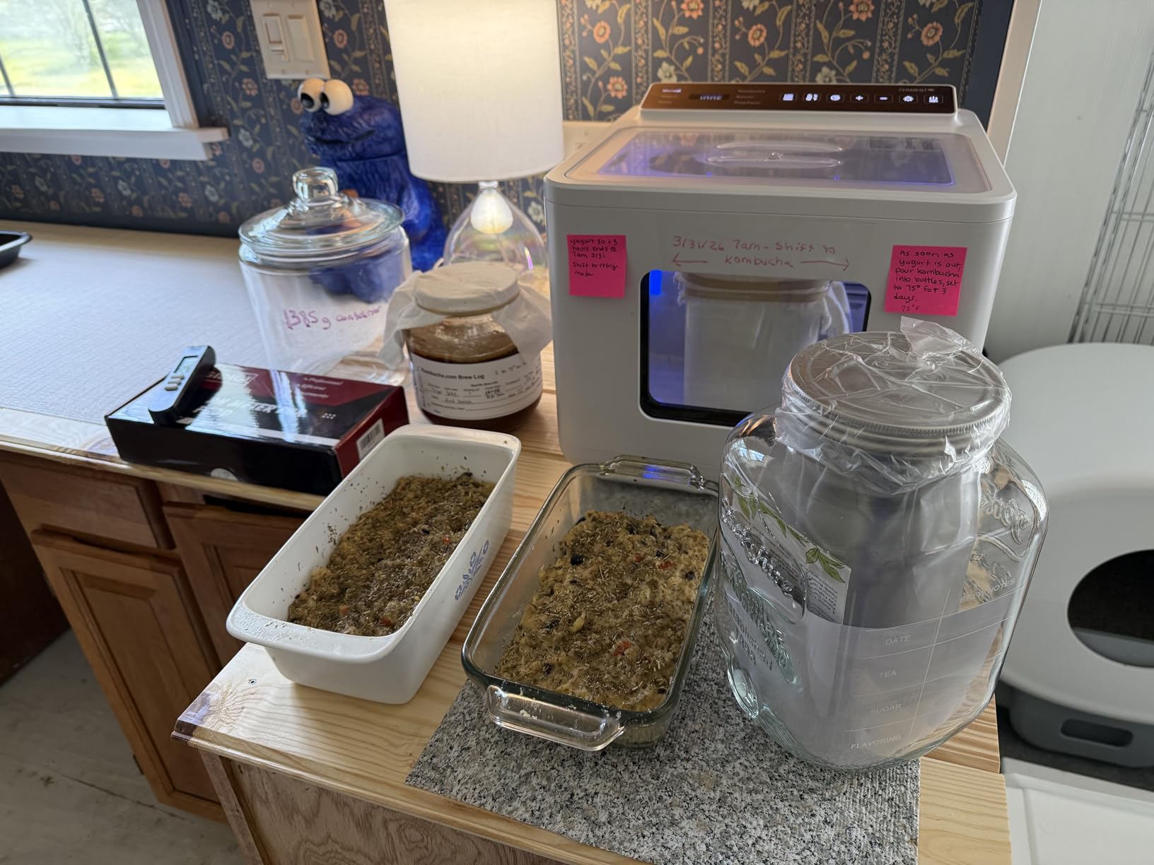 12.8L Smart Yogurt Maker Machine & Fermentation Kit, Kombucha, Kimchi, Natto, Tempeh, Sourdough Maker, Temp Control 50-115°F, Timer 1 Hr - 30 Day, Post-Ferment Cooling customer photo 2