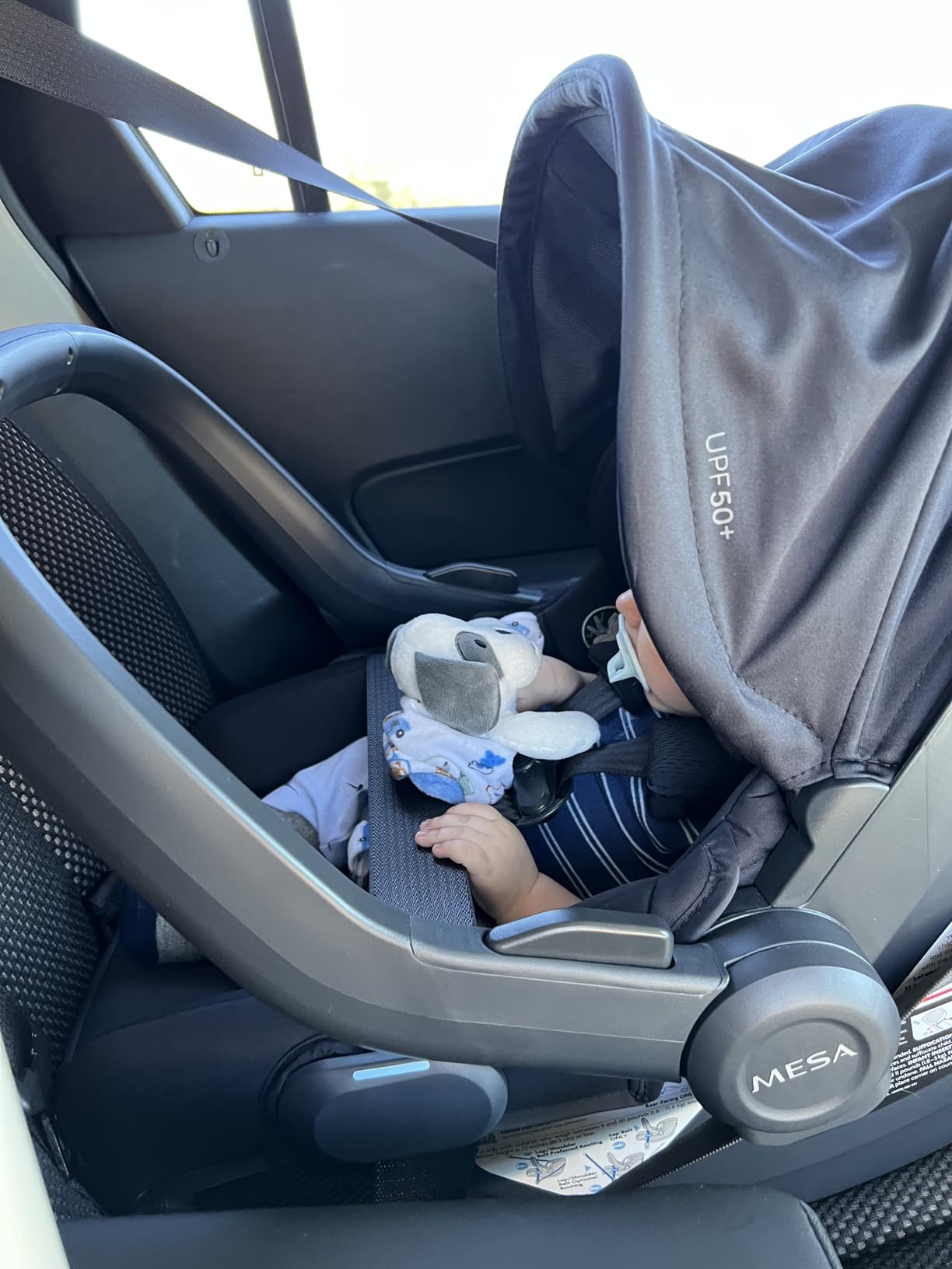 UPPAbaby Mesa V3 Infant Car Seat - Easy Installation + SmartSecure Technology - Attaches to Stroller | Base + Infant Insert Included - Evelyn (Meadow Green) customer photo 1