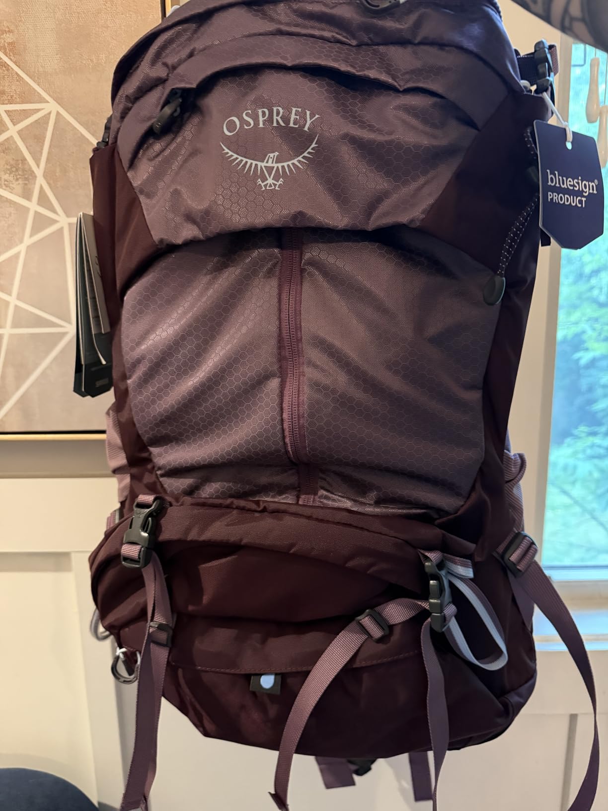 Osprey Sirrus 36L Women's Hiking Backpack - Lightweight Backpacking Pack with Waterproof Raincover - Camping Bag, Sevres Blue customer photo 2