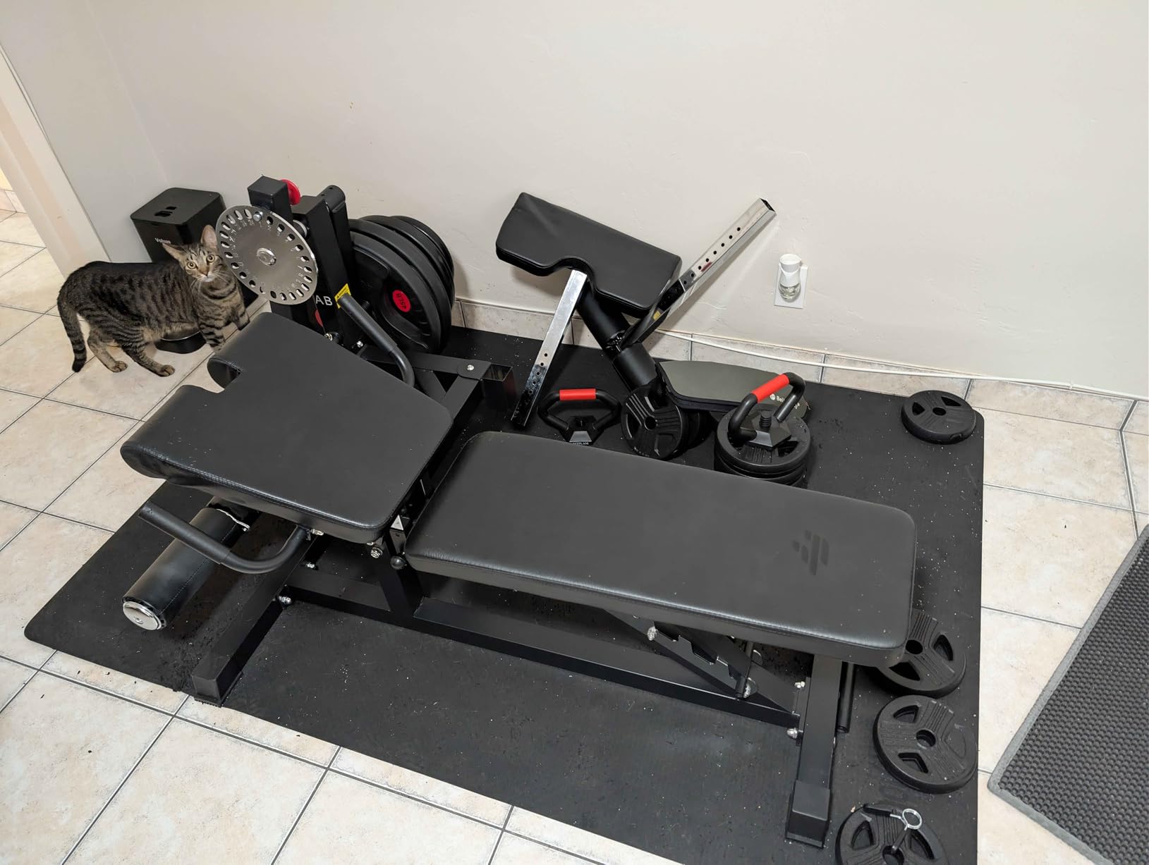 Finer Form GLX Adjustable Weight Bench with Leg Extension and Curl Machine, Total Body Bench for Home Gym, Great for Bench Press, Sit Ups, Preacher Curl, Hip Thrusts and Other Plate-Loaded Exercises customer photo 1