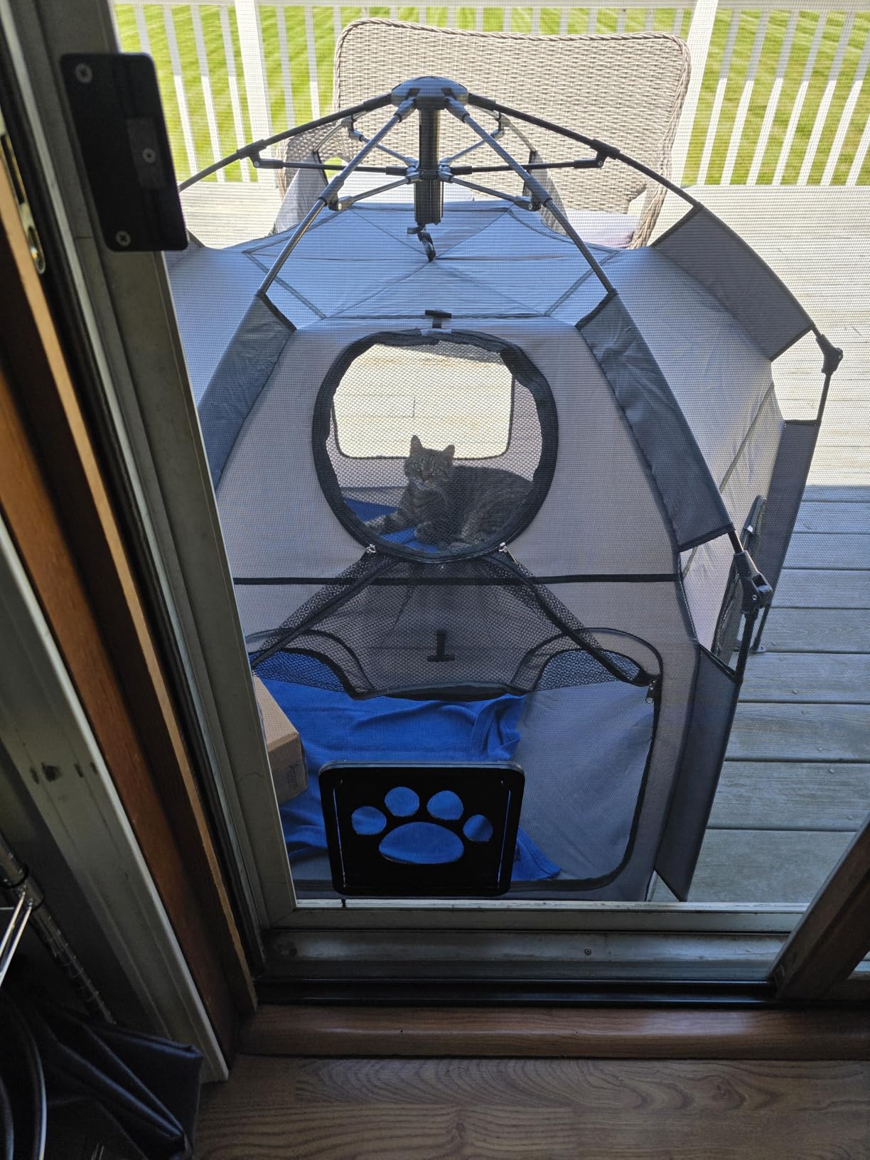 Catio Outdoor Cat Enclosure, Rywell 55