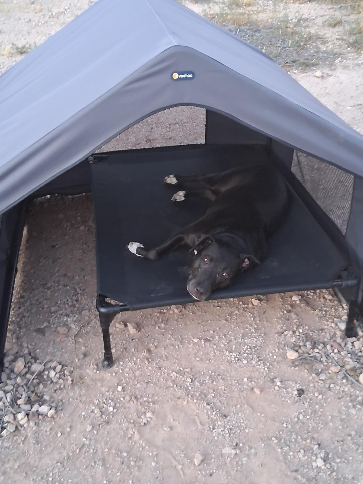 Veehoo Extra Large Dog House Outdoor with Elevated Dog Bed, Outside Dog Tent 4.1' x 4.1' x 3.3', Weatherproof Dog Shade Shelter and Raised Bed Combo for Pets or Stray Animals, Grey customer photo 1
