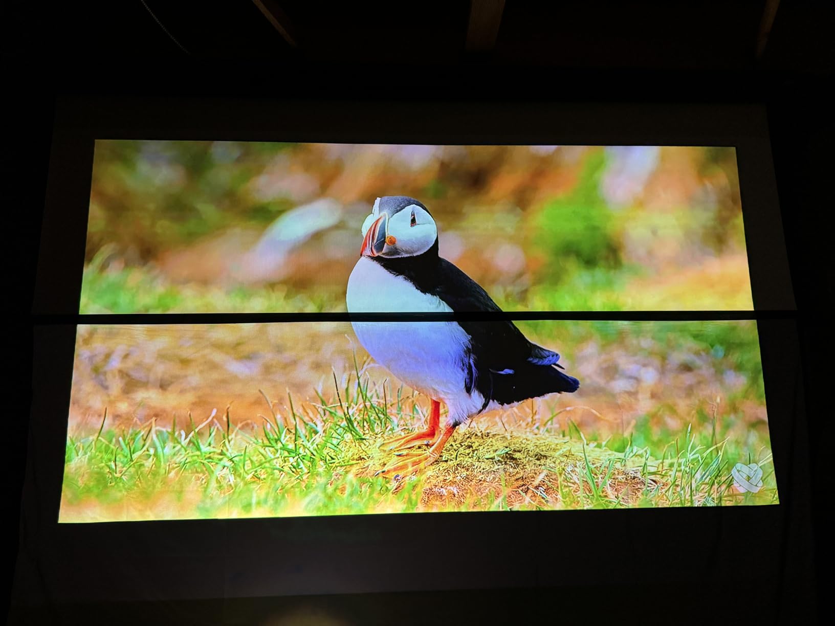 ALR Projector Screen Material for Standard Throw- for DIY Frame or Wall Mounted - High Contrast 70% ALR High Brightness 2.7X Gain - 100 inch 16:9 Gray Screen - by SilverMagic customer photo 2