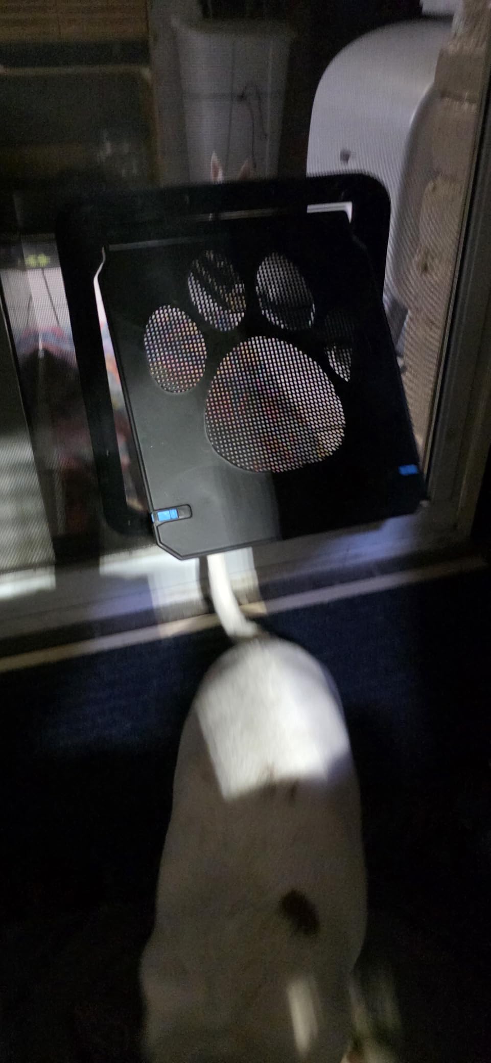 PetPrime Dog Door for Screen Door with Flap Opening 12x14 inches, Lockable Auto-Close Magnetic Large Pet Door for Dogs, Suitable for Sliding Screen Door, Easy Install, Large customer photo 2