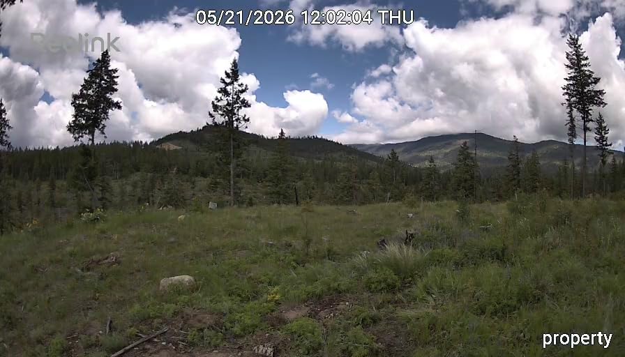 REOLINK 4K Dual Lens 4G Cellular Trail Camera, Wireless Auto Tracking Security Camera Outdoor, 6X Hybrid Zoom, No-Glow IR, SIM Card Included, Waterproof for Wildlife, TrackMix LTE Trail customer photo 1