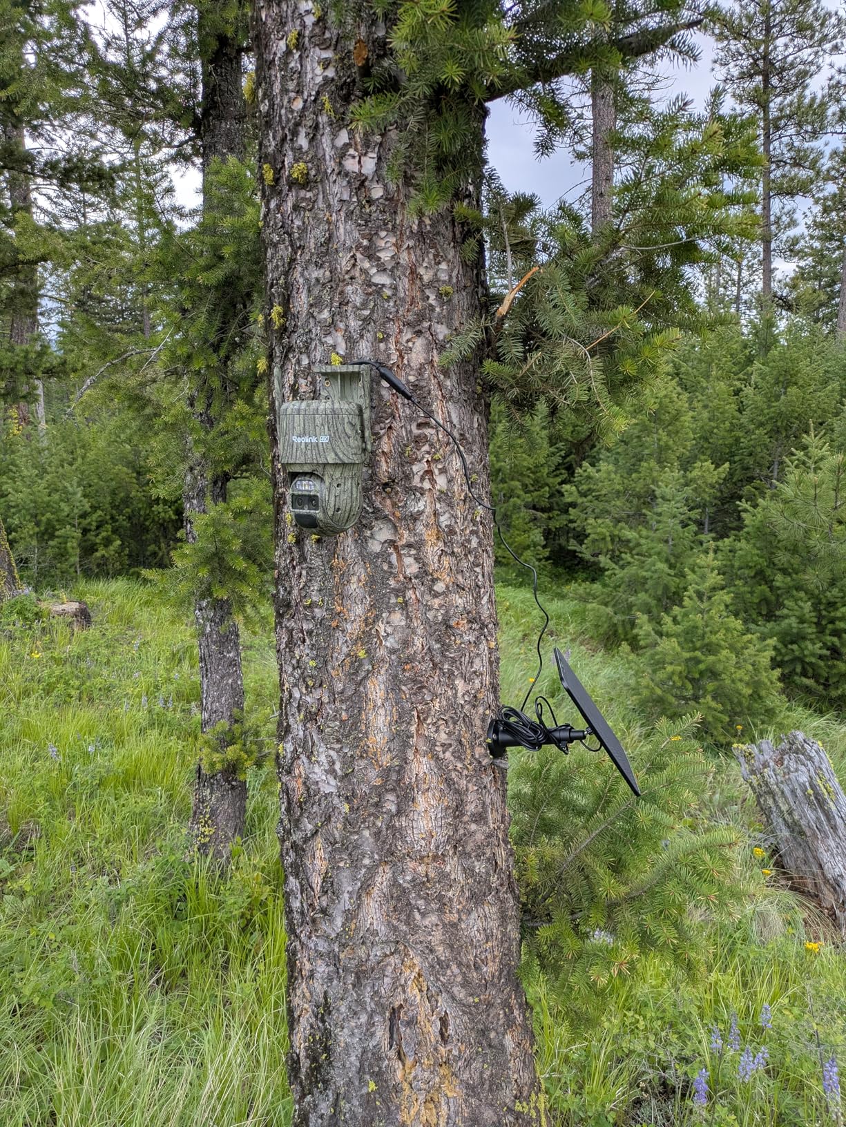 REOLINK 4K Dual Lens 4G Cellular Trail Camera, Wireless Auto Tracking Security Camera Outdoor, 6X Hybrid Zoom, No-Glow IR, SIM Card Included, Waterproof for Wildlife, TrackMix LTE Trail customer photo 2