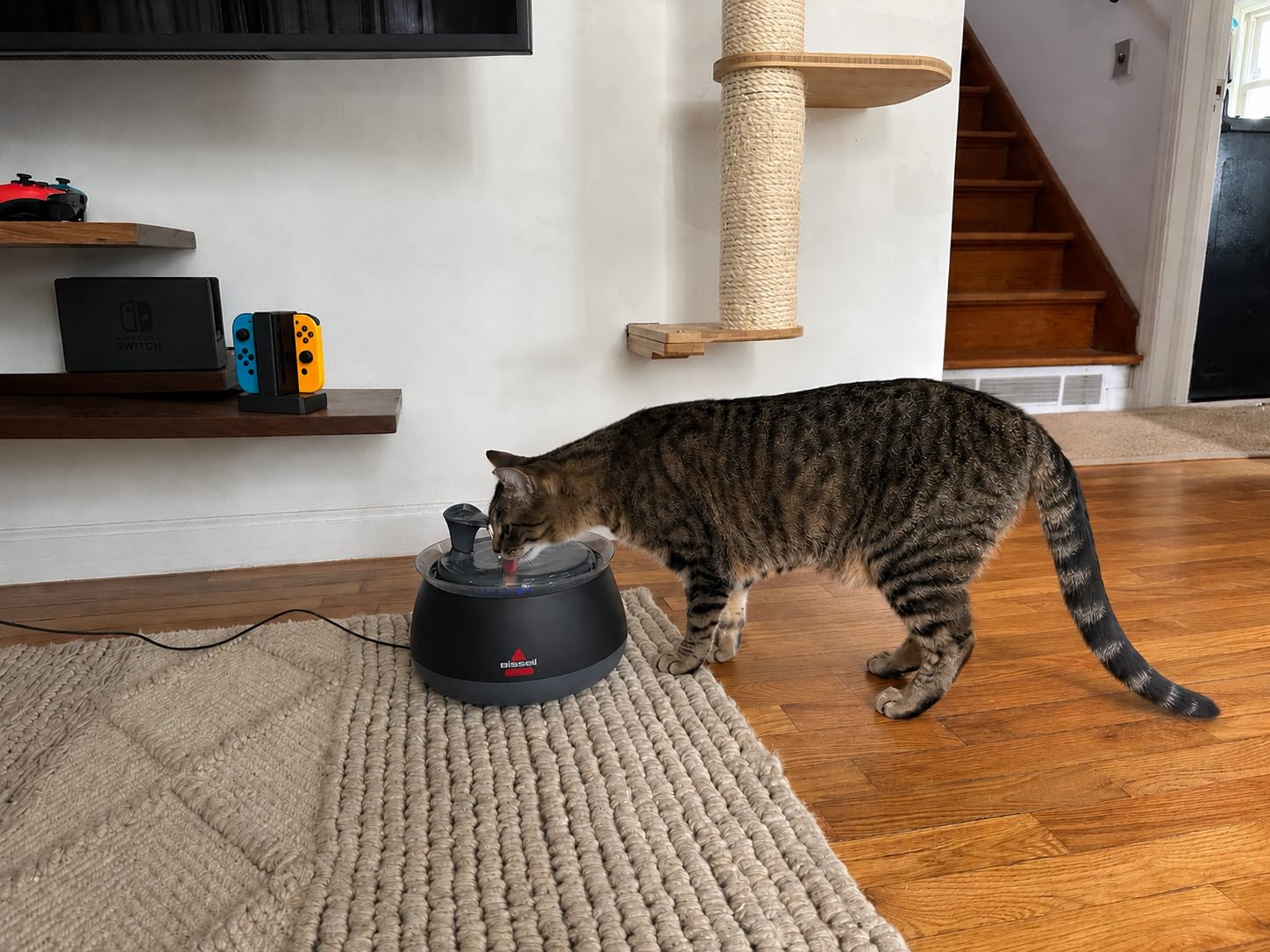 BISSELL HydrateWell Pet Water Fountain, 91oz Automatic Cat Water Fountain with Wireless Pump, SlimeShield and 5-Layer Filtration, Ultra Quiet Cat Water Dispenser, 4408 customer photo 1