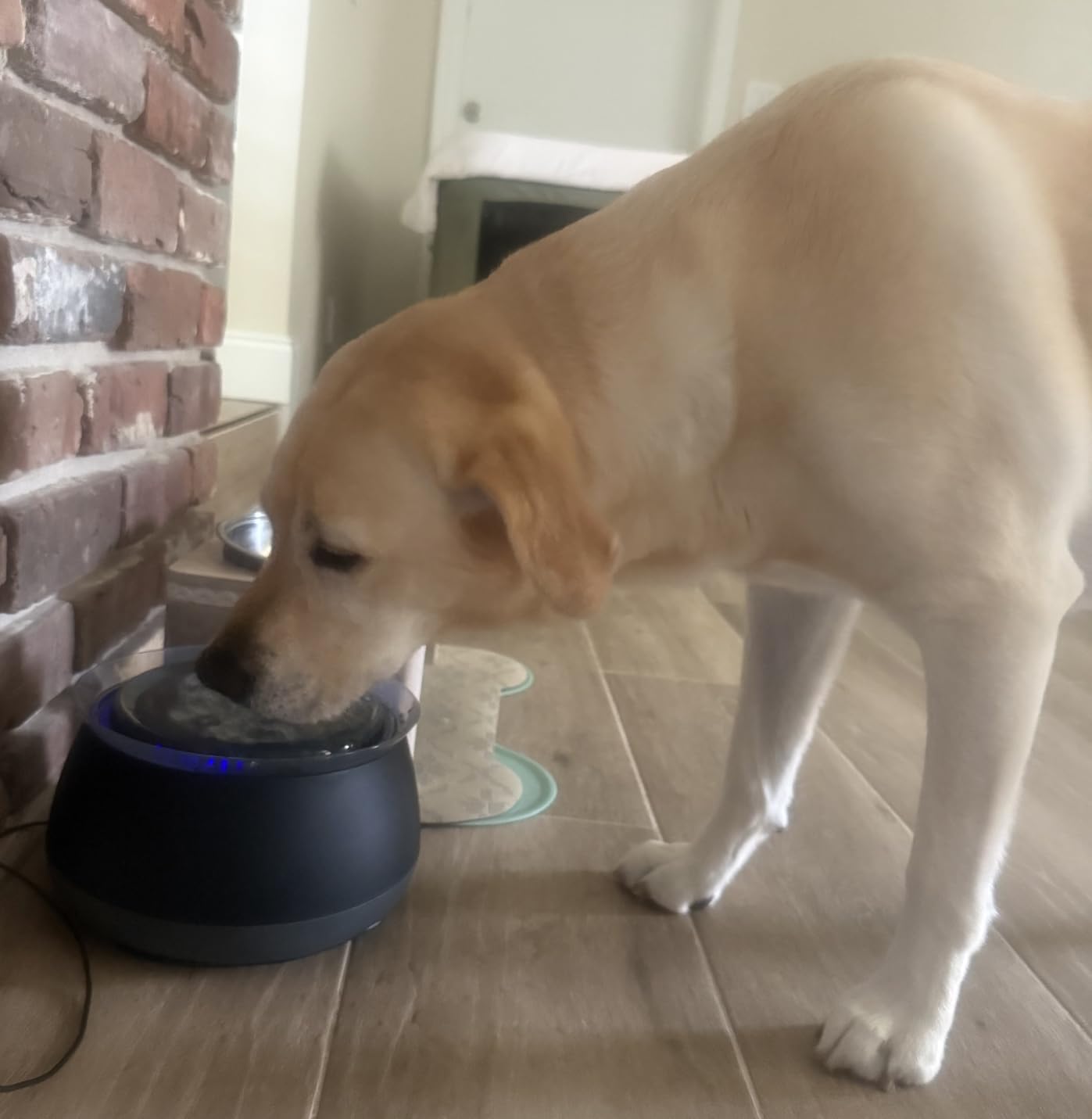 BISSELL HydrateWell Pet Water Fountain, 91oz Automatic Cat Water Fountain with Wireless Pump, SlimeShield and 5-Layer Filtration, Ultra Quiet Cat Water Dispenser, 4408 customer photo 2