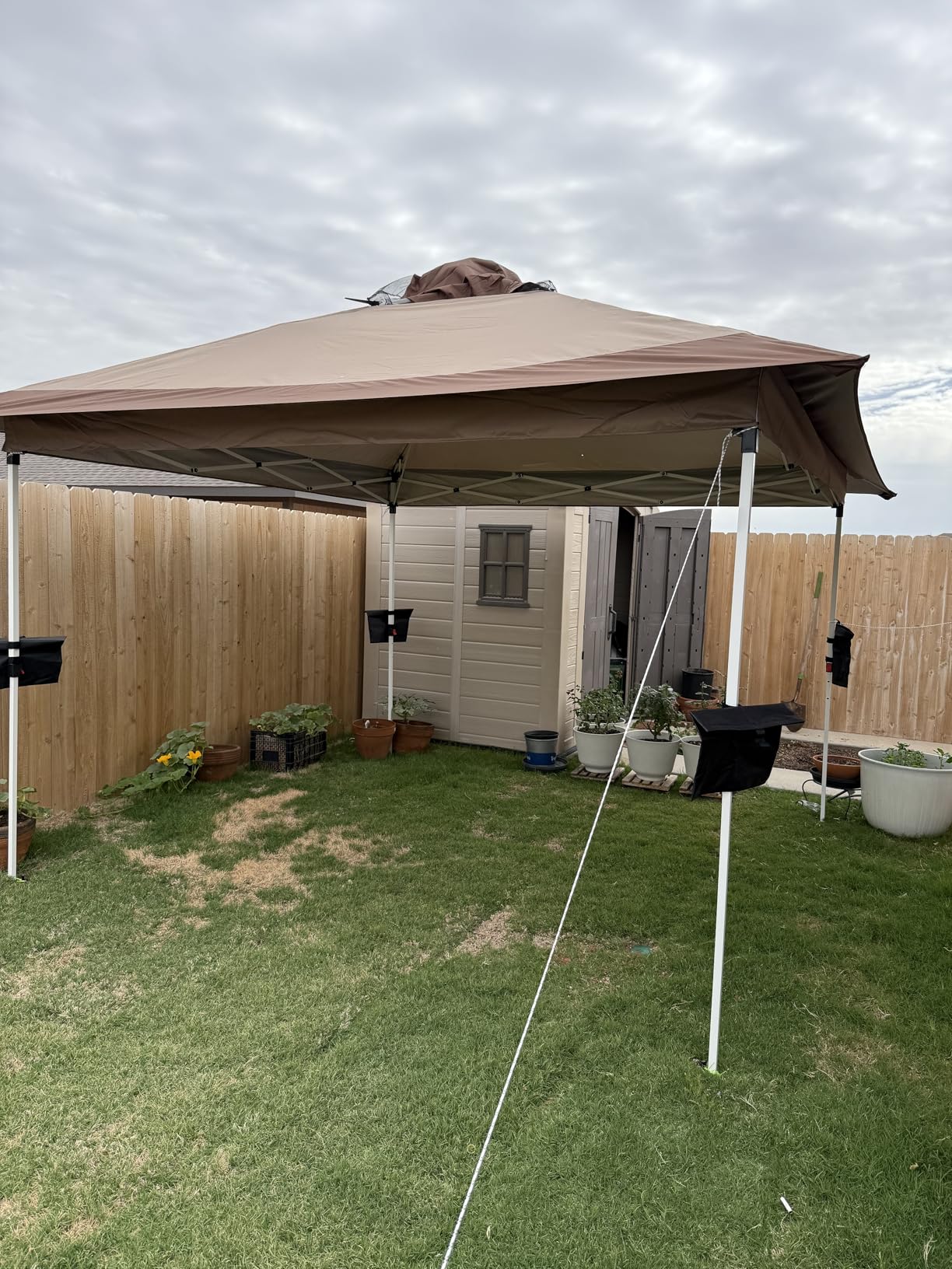 COBIZI 12x12 Pop Up Gazebos On Clearance - Upgrade Easy Up Metal Outdoor Gazebo Waterproof - Portable Gazebo with Mosquito Nettings, 4 Ropes 8 Stakes and Carry Bag for Patio Garden (Coffee) customer photo 2