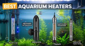 Best Aquarium Heaters
