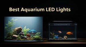 Best Aquarium LED Lights