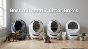 Best Automatic Litter Boxes