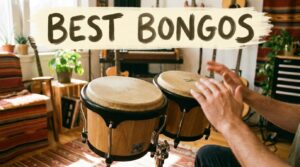 Best Bongos
