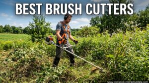 Best Brush Cutters