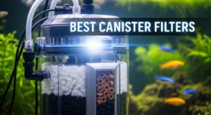 Best Canister Filters