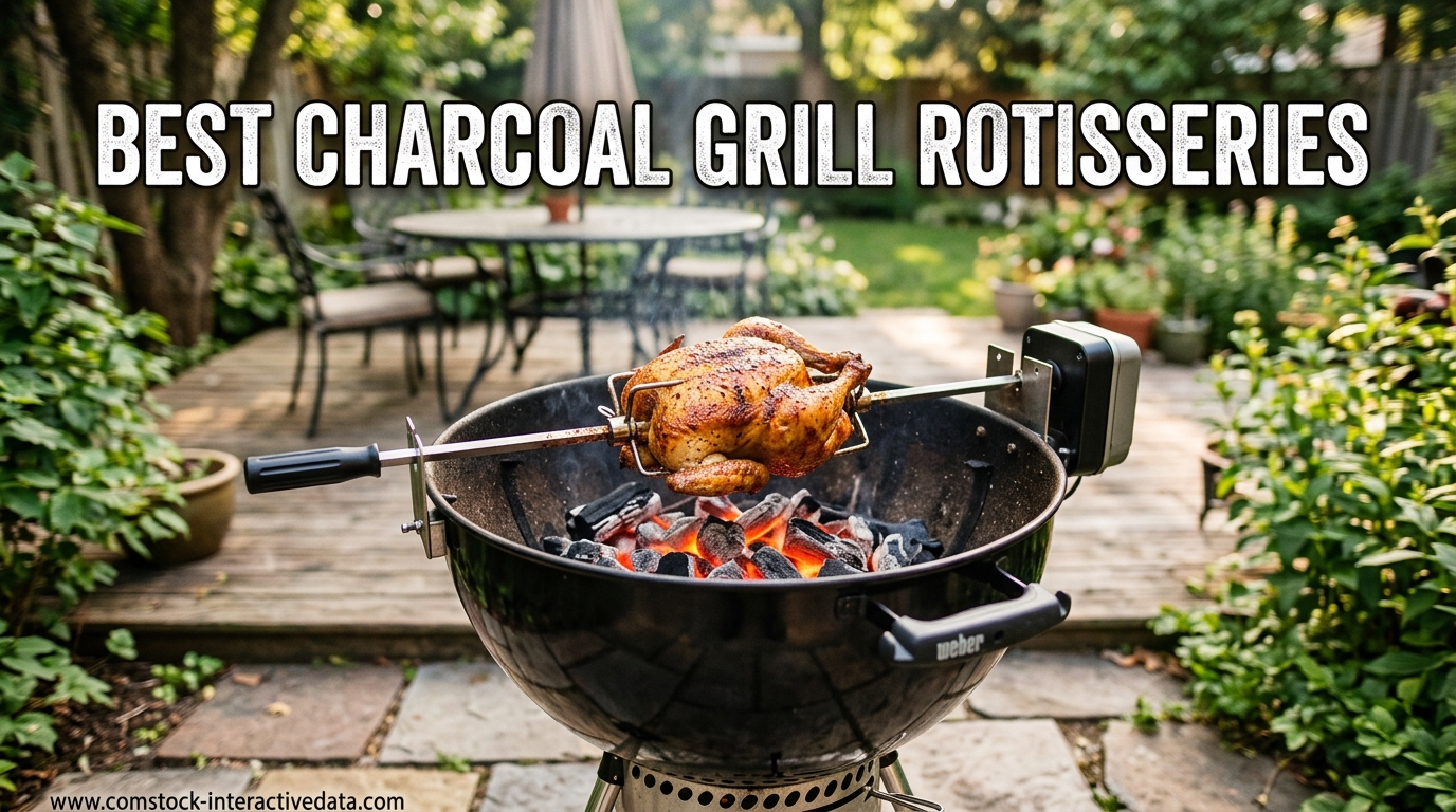 Best Charcoal Grill Rotisseries