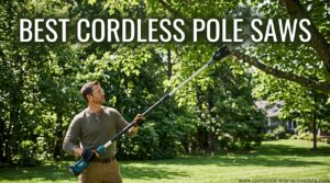 Best Cordless Pole Saws