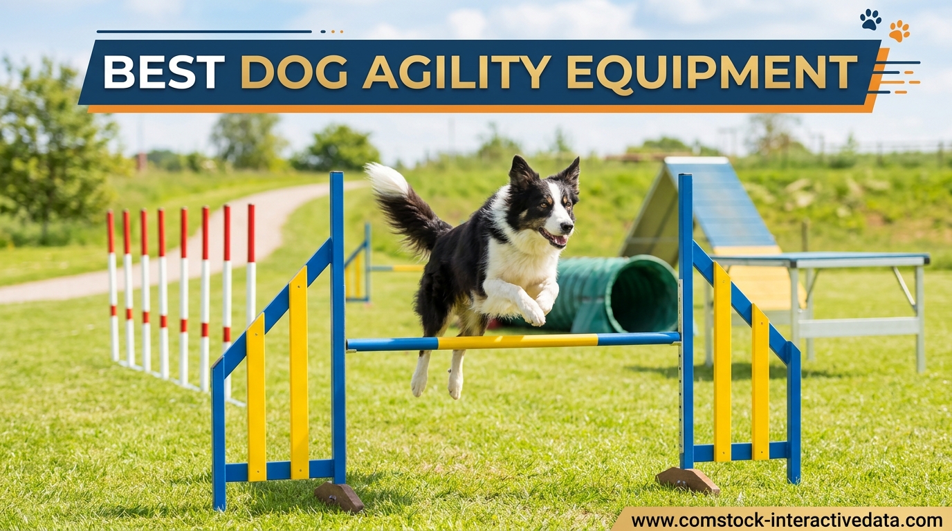Best Dog Agility Equipment