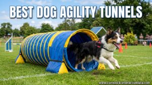 Best Dog Agility Tunnels