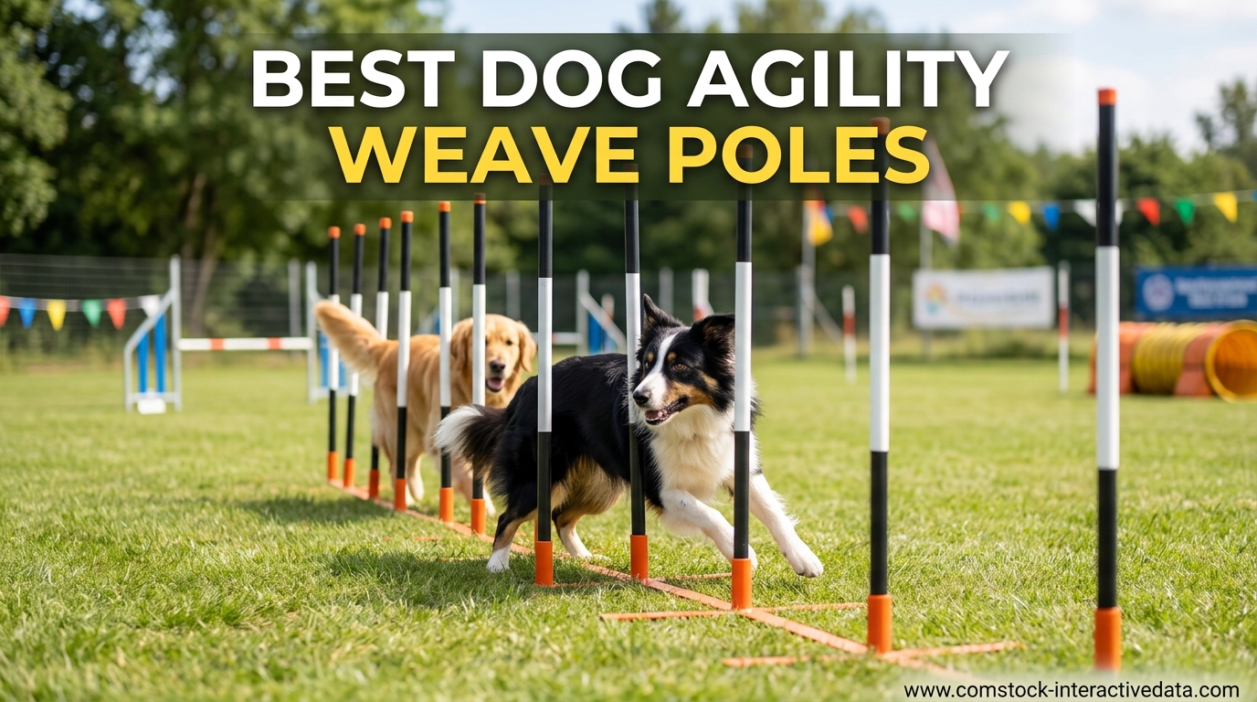 Best Dog Agility Weave Poles