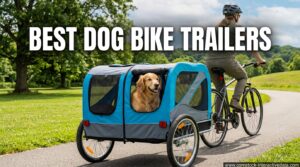 Best Dog Bike Trailers
