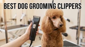 Best Dog Grooming Clippers